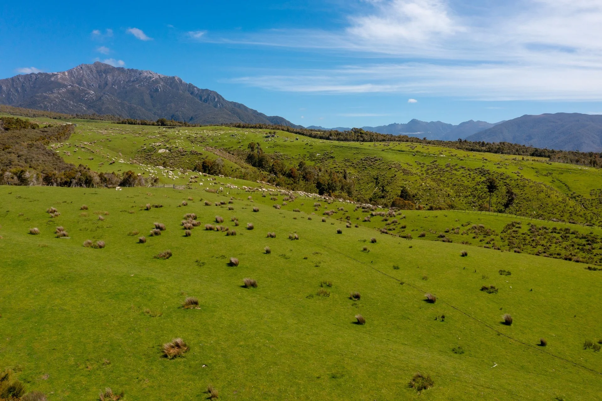 220 Quartz Range Road (105 of 139)_1920px.jpg