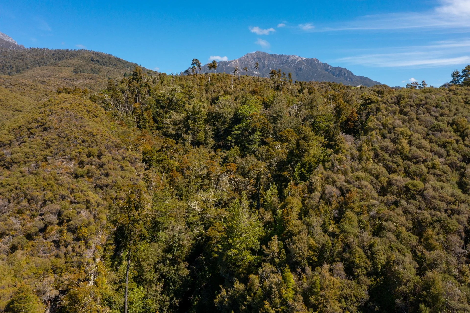 220 Quartz Range Road (108 of 139)_1920px.jpg