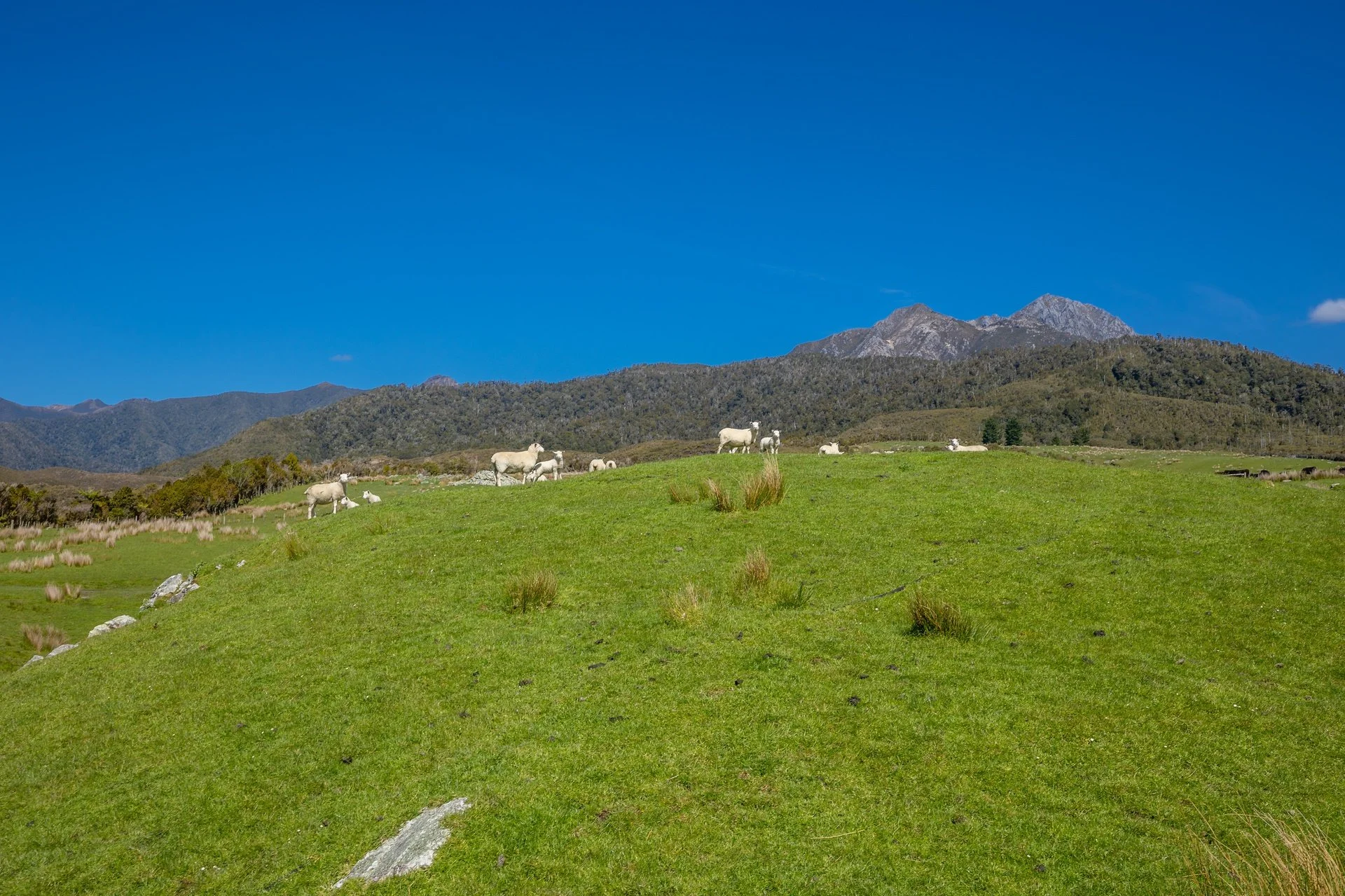 220 Quartz Range Road (110 of 139)_1920px.jpg