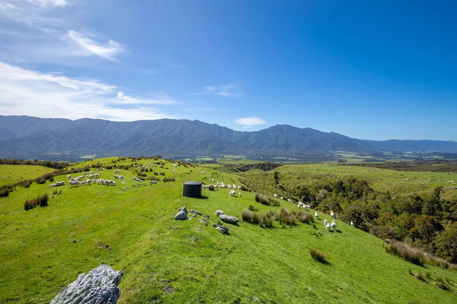 220 Quartz Range Road (111 of 139)_1920px.jpg