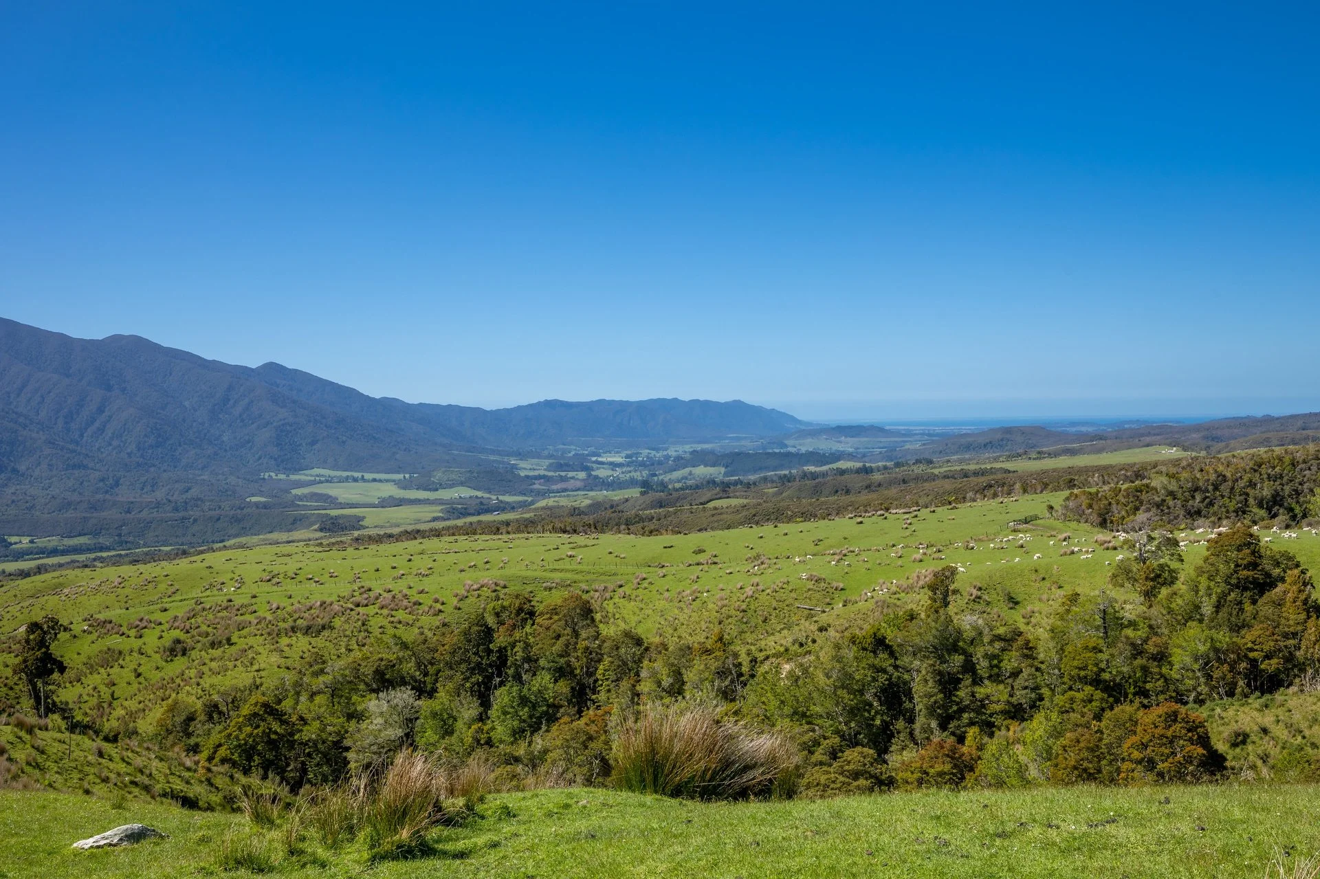 220 Quartz Range Road (113 of 139)_1920px.jpg