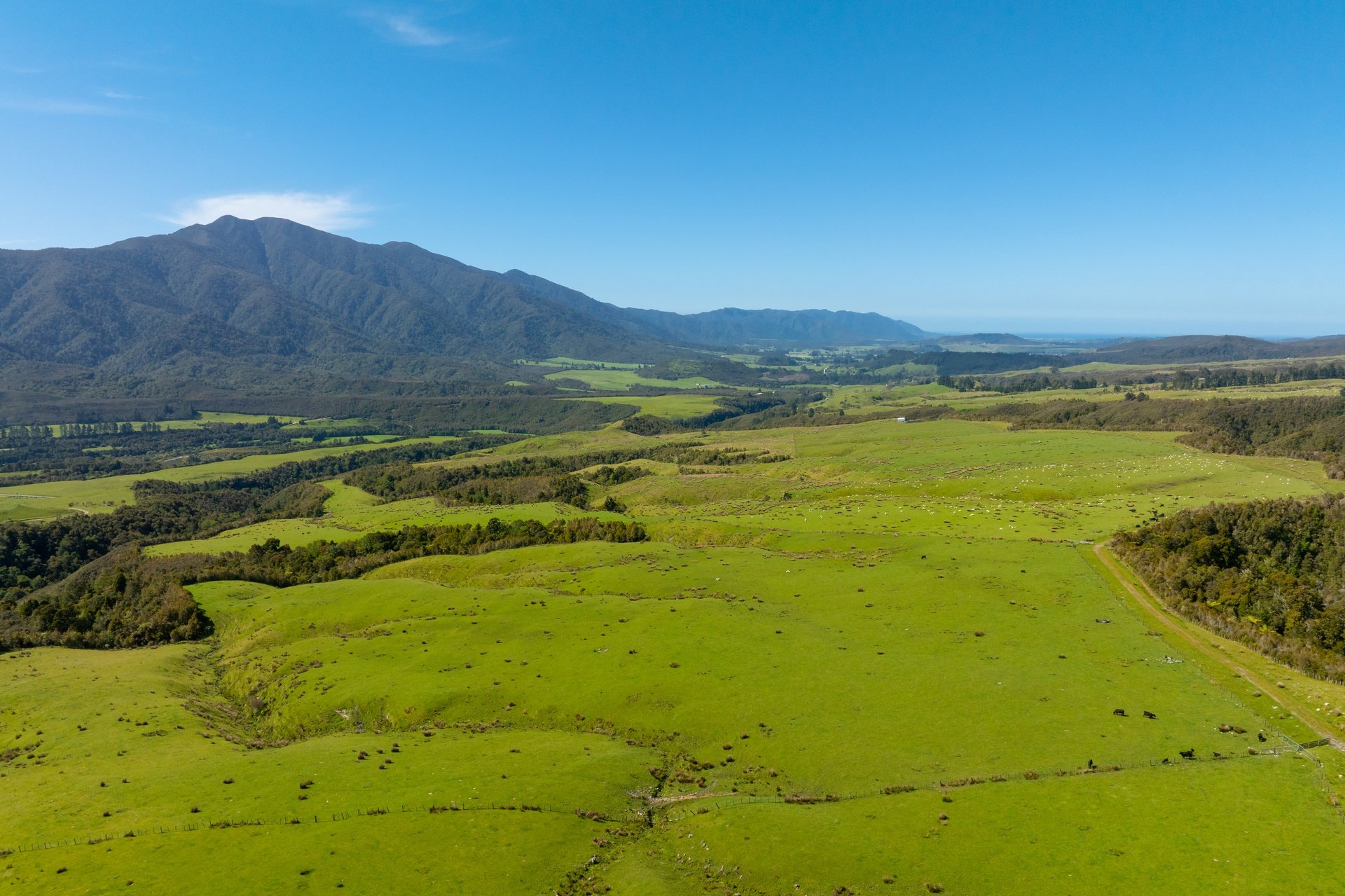 220 Quartz Range Road (120 of 139)_1920px.jpg