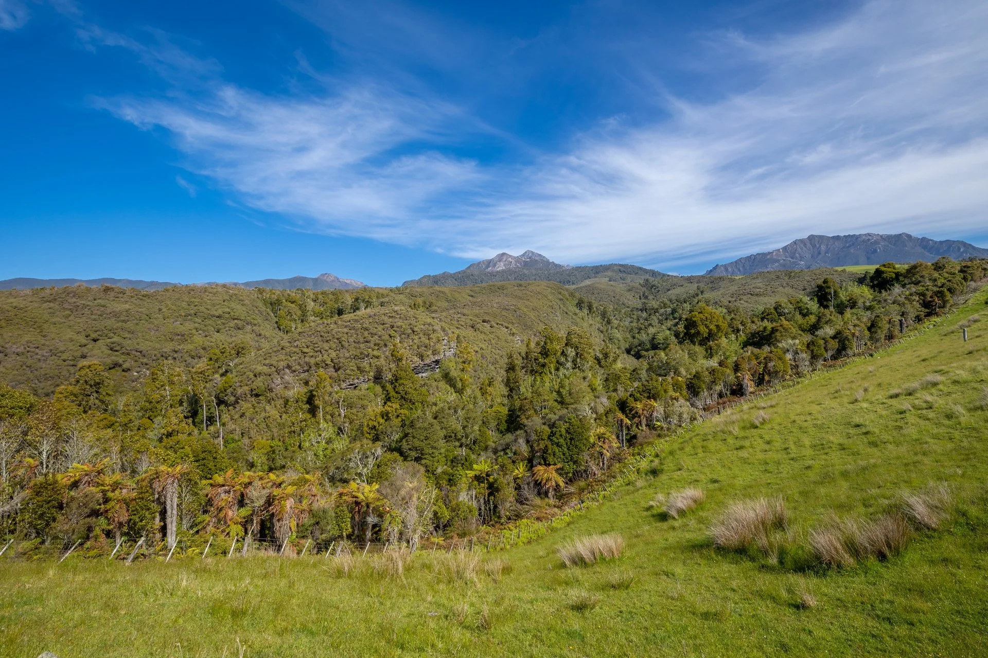 220 Quartz Range Road (132 of 139)_1920px.jpg