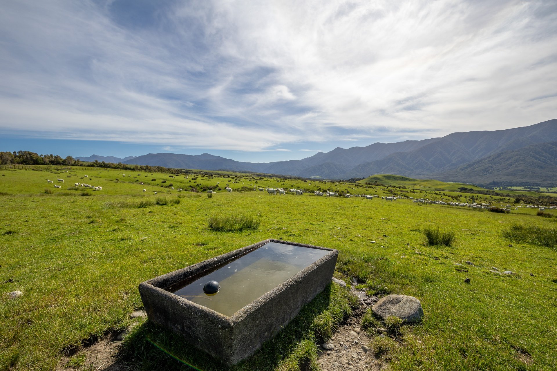 220 Quartz Range Road (134 of 139)_1920px.jpg