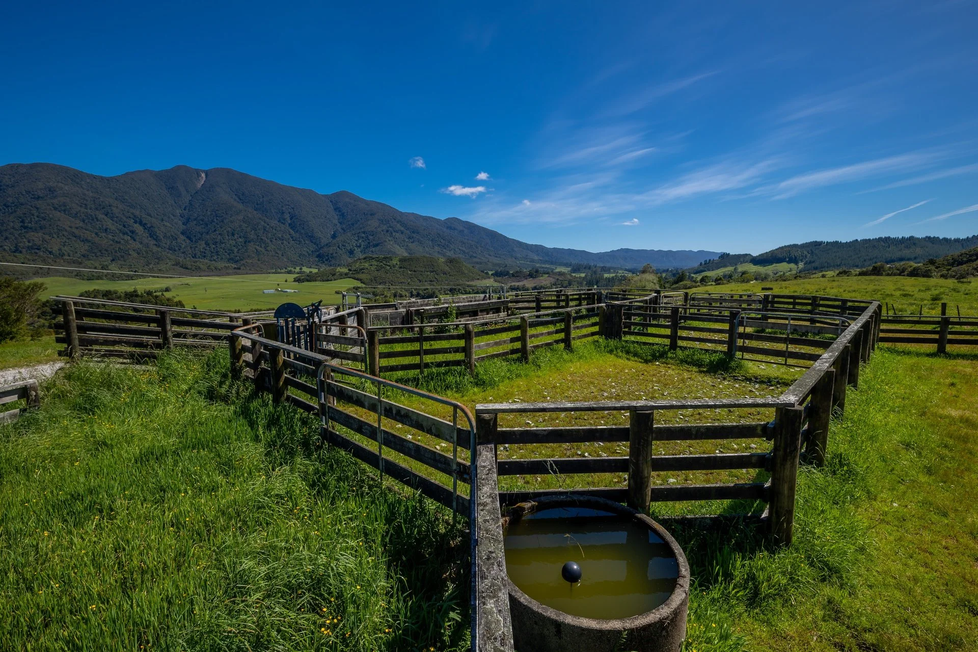 153 Quartz Range Road (39 of 68)_1920px.jpg