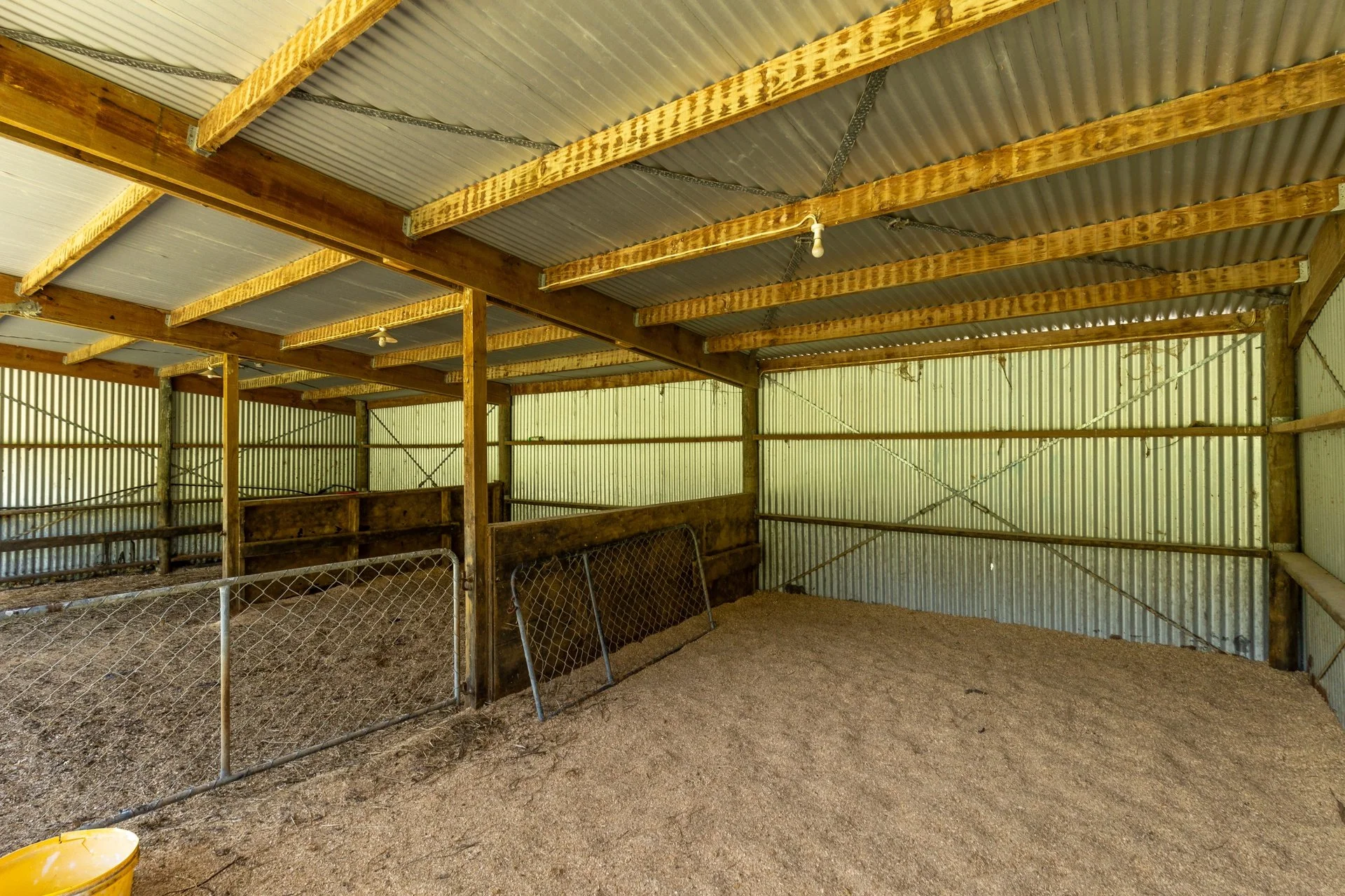 537 Ronga Rd (47 of 80)_1920px.jpg