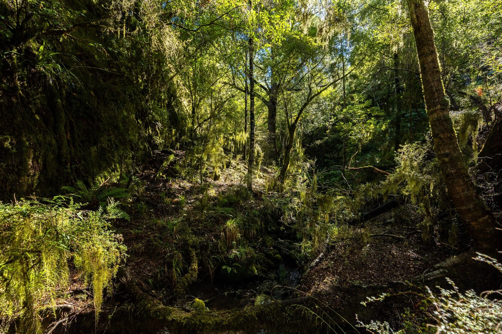 288 Matiri Valley Rd-1_1920px.jpg