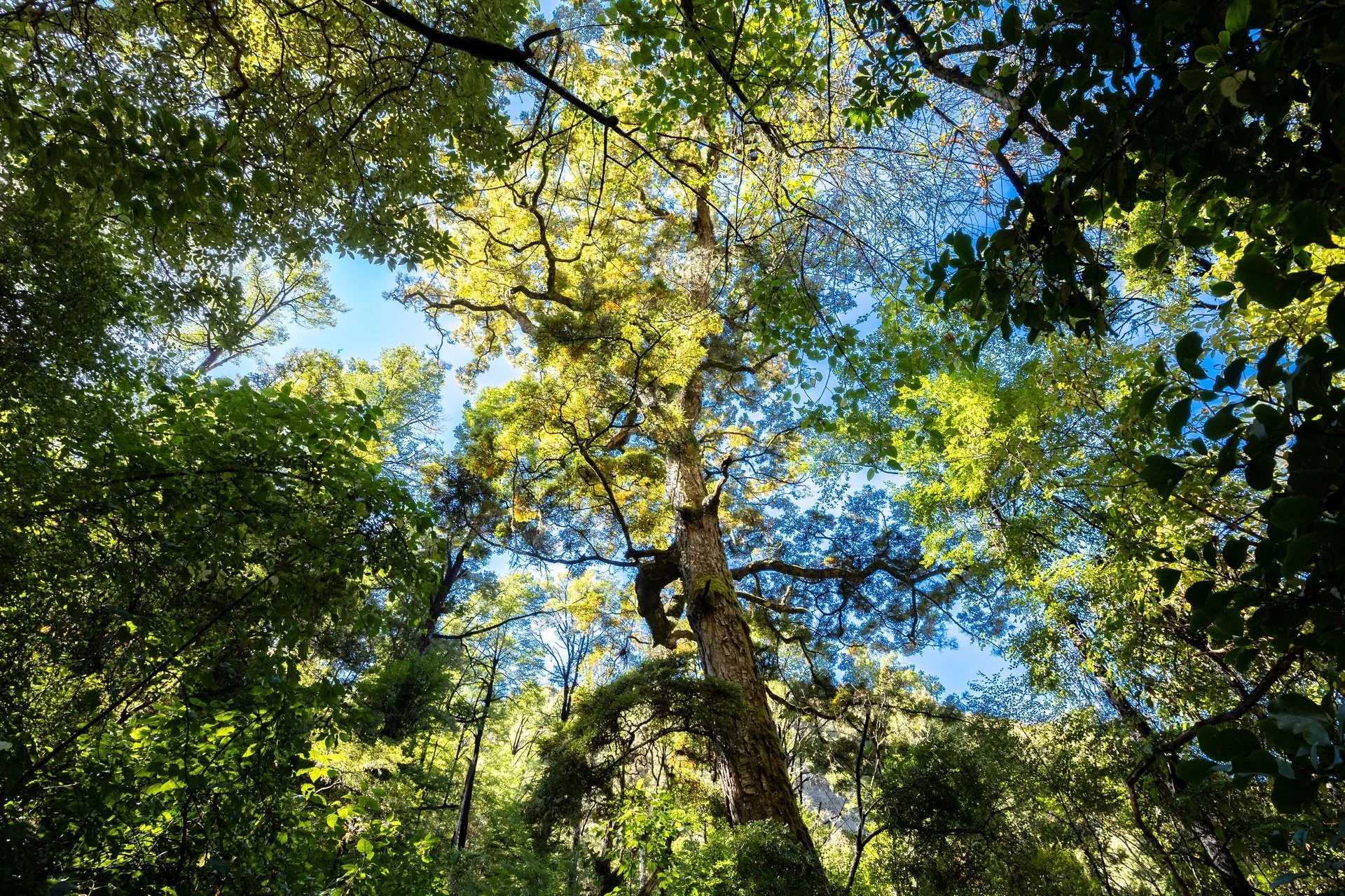 288 Matiri Valley Rd-7_1920px.jpg