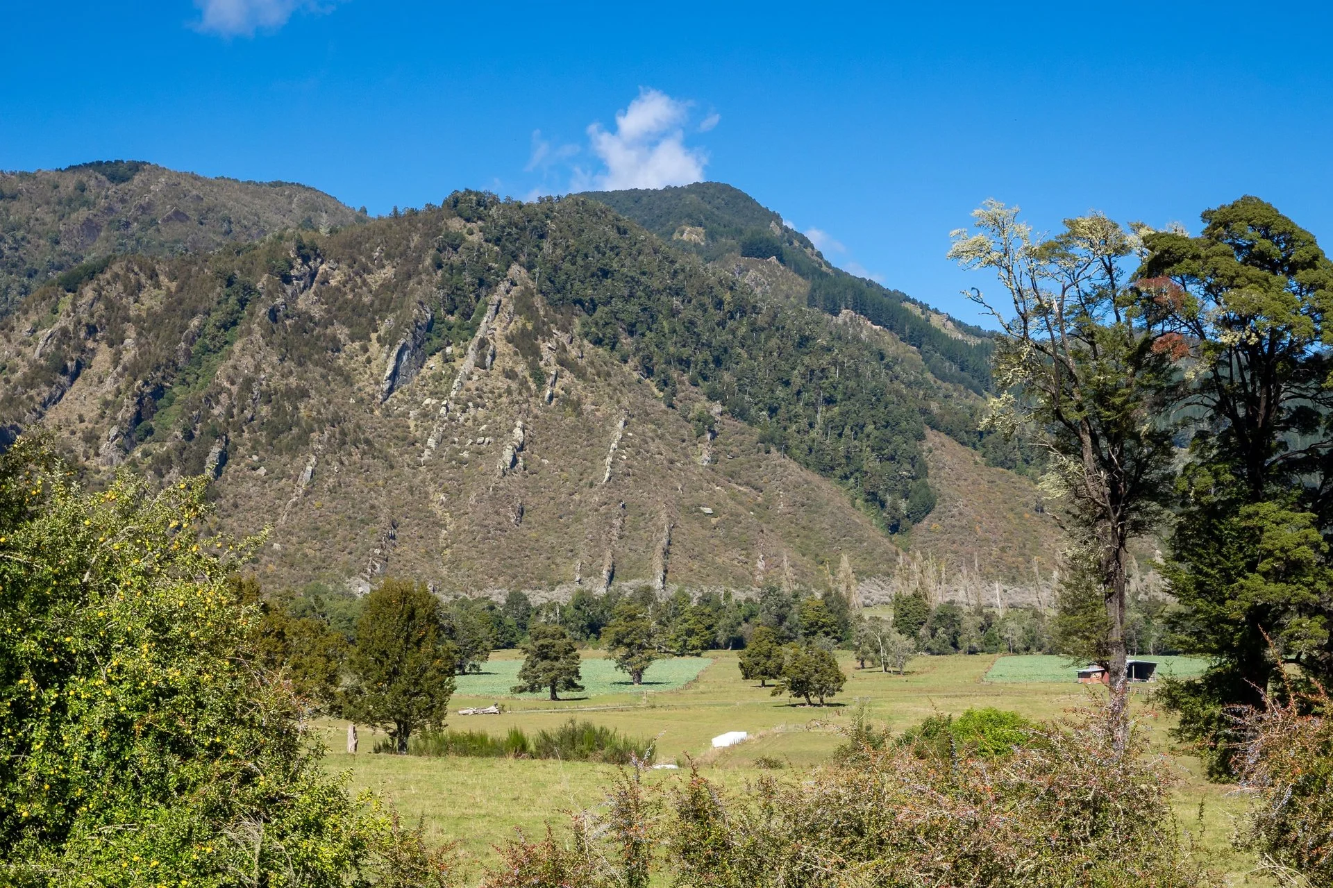 288 Matiri Valley Rd-18_1920px.jpg