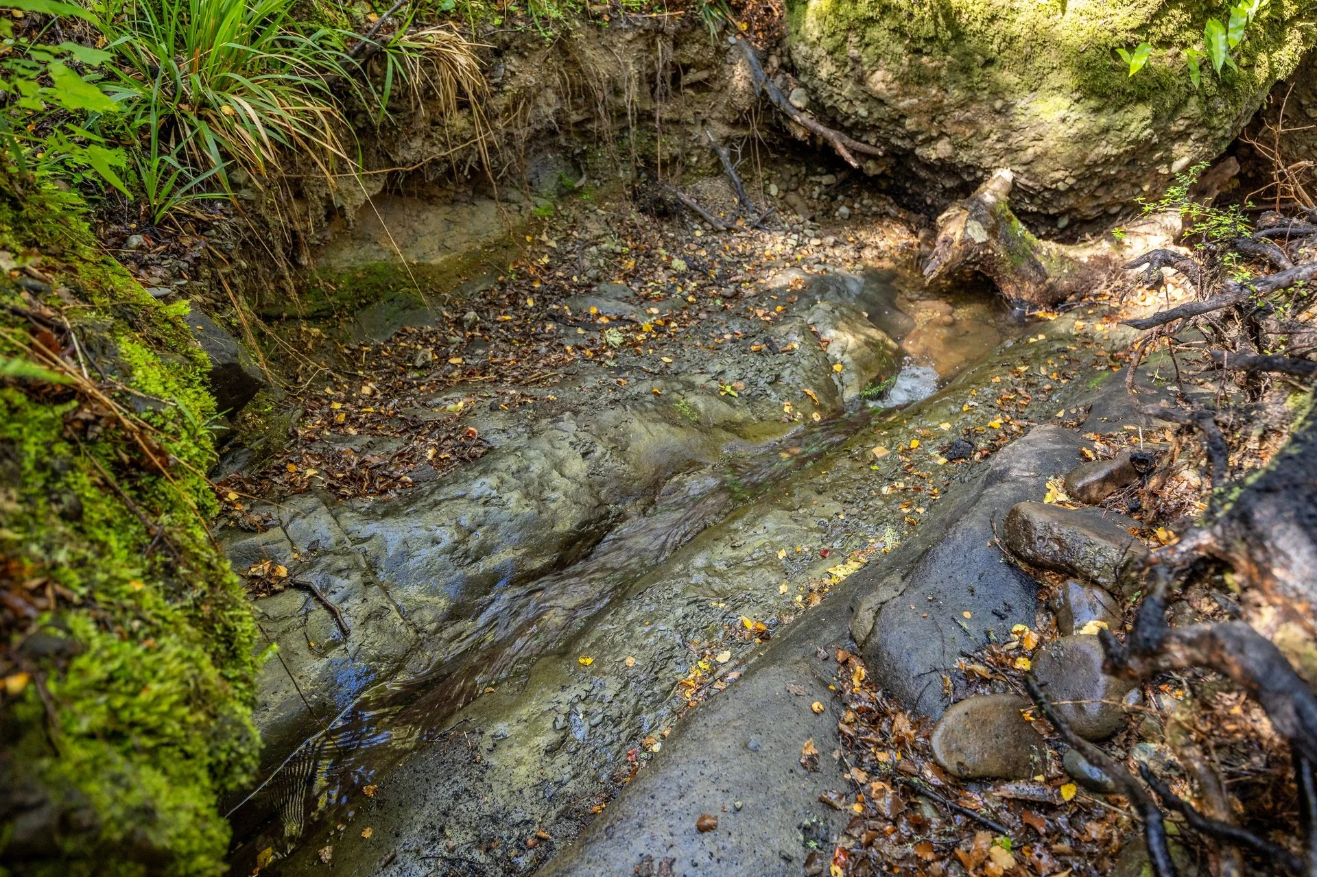 288 Matiri Valley Rd-22_1920px.jpg