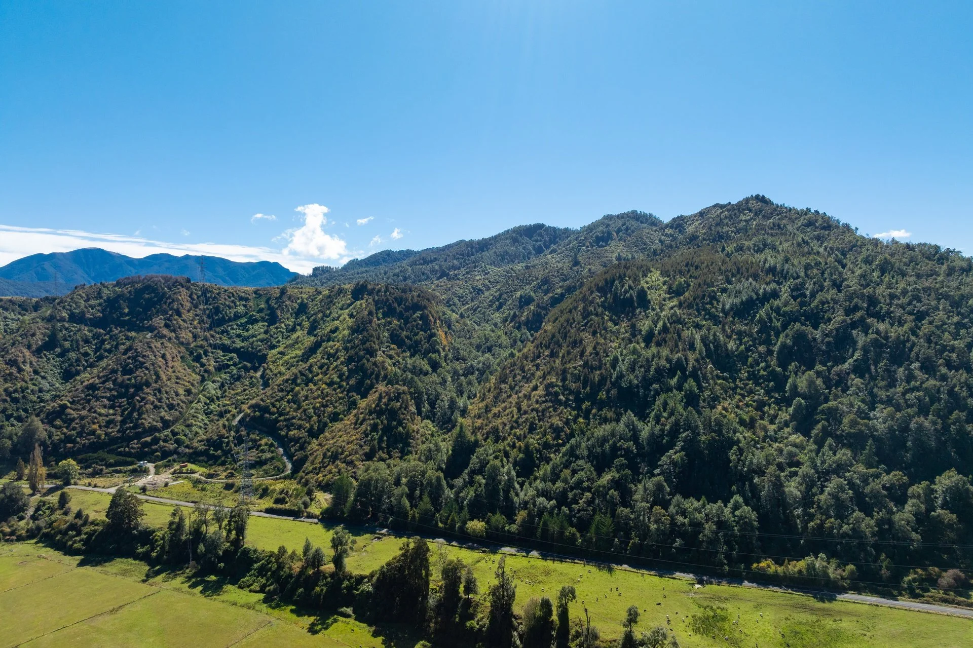 288 Matiri Valley Rd-24_1920px.jpg