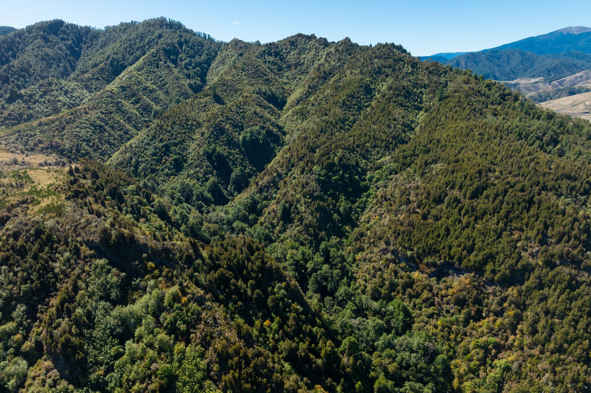 288 Matiri Valley Rd-29_1920px.jpg