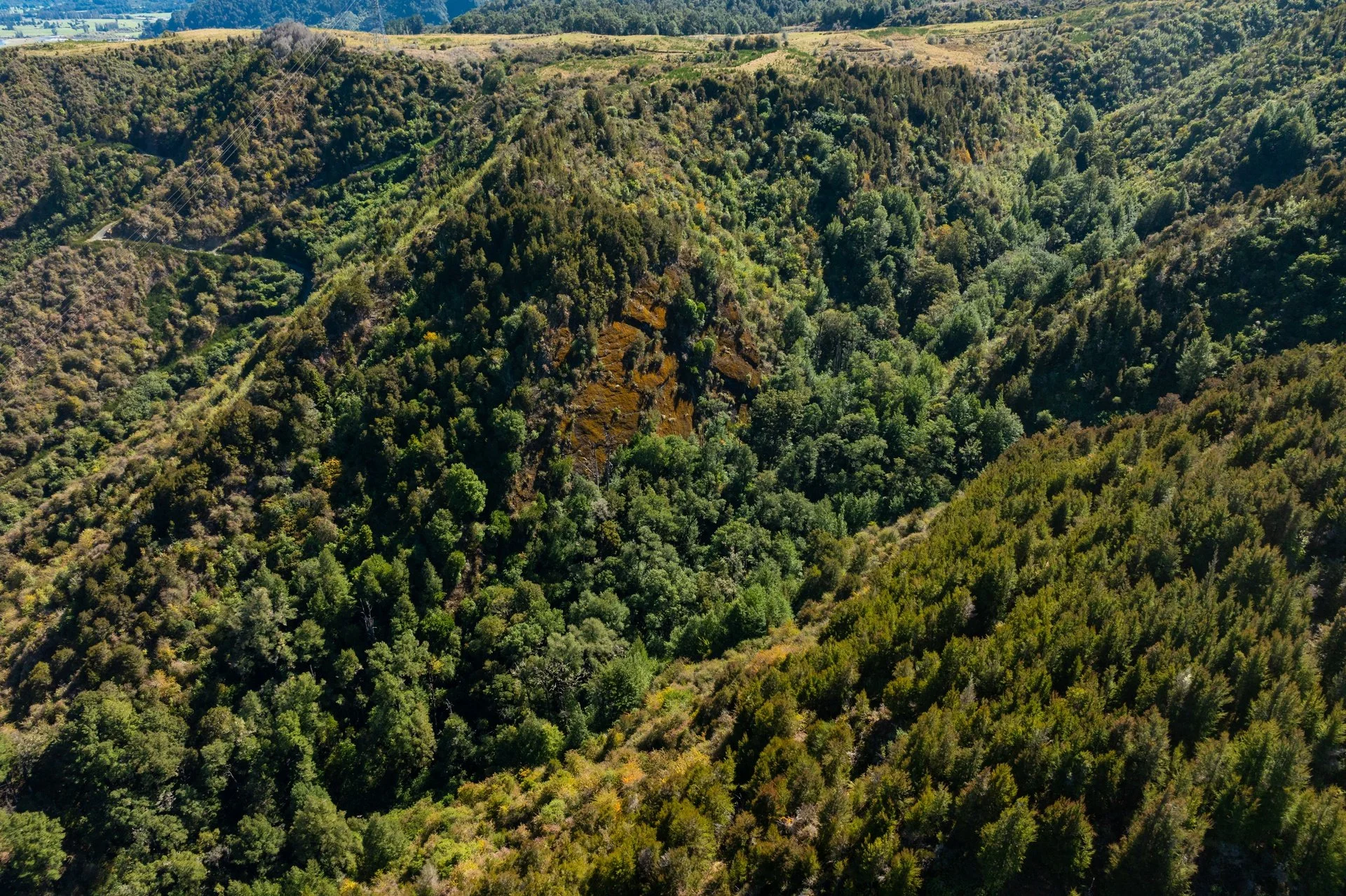 288 Matiri Valley Rd-34_1920px.jpg