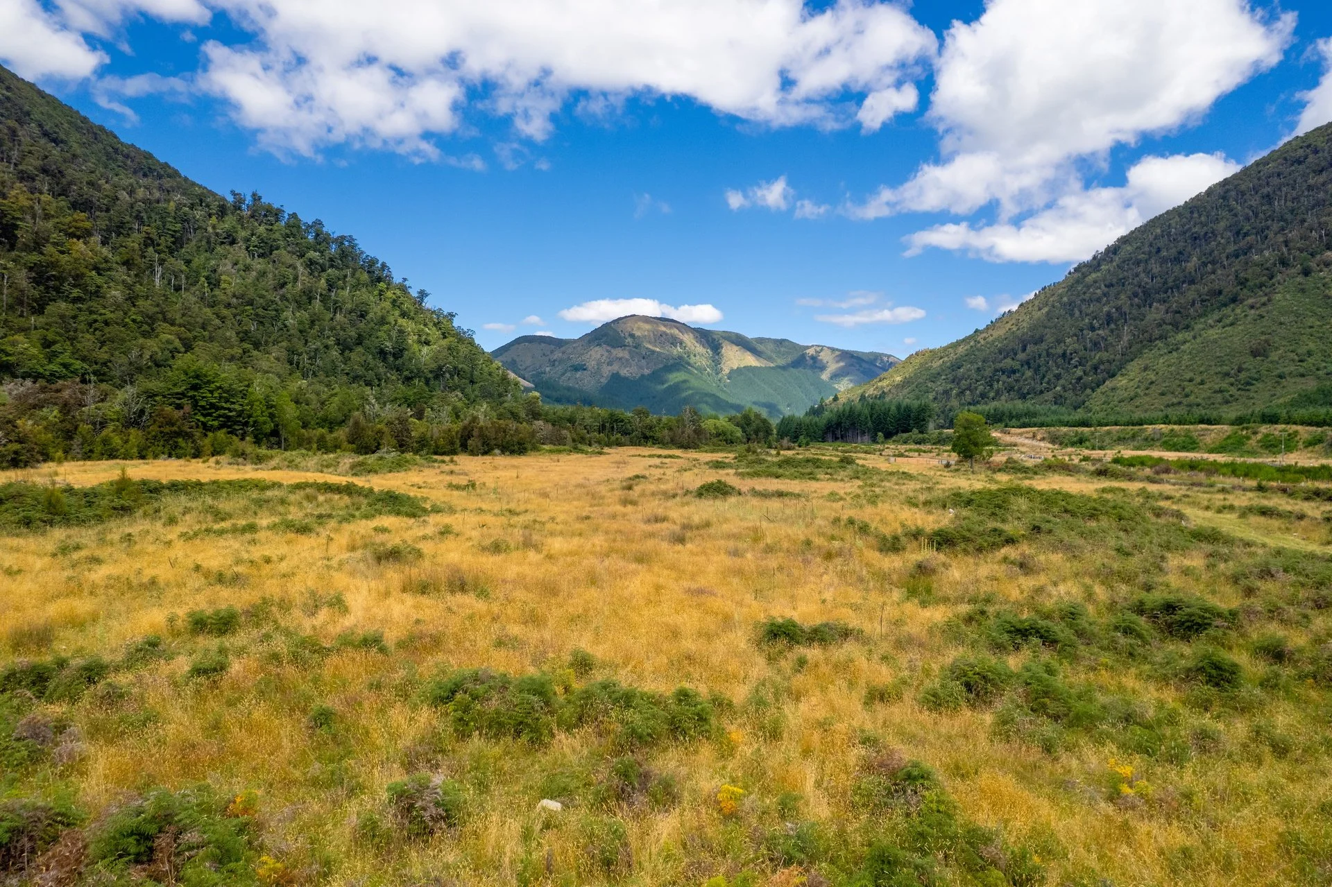 Gowan River (2 of 34)_1920px.jpg