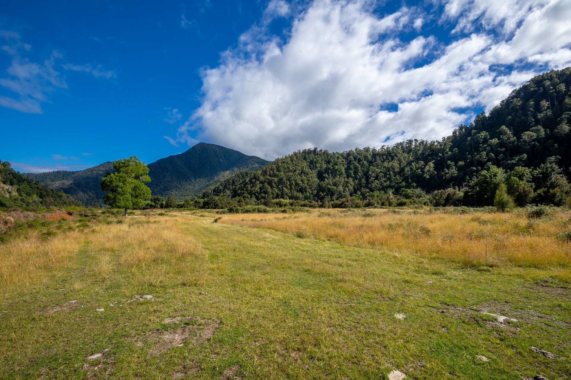 Gowan River (18 of 34)_1920px.jpg
