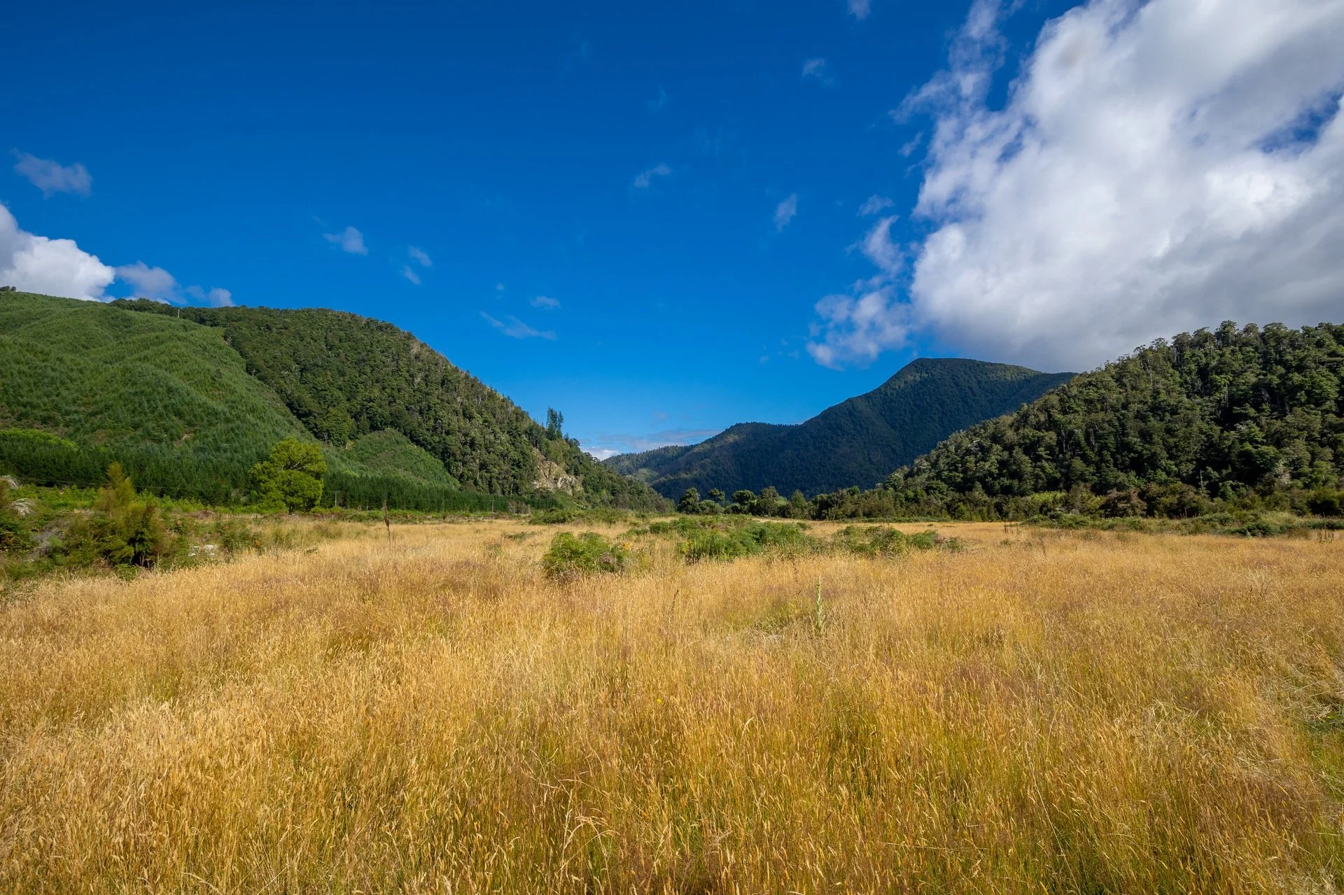 Gowan River (19 of 34)_1920px.jpg
