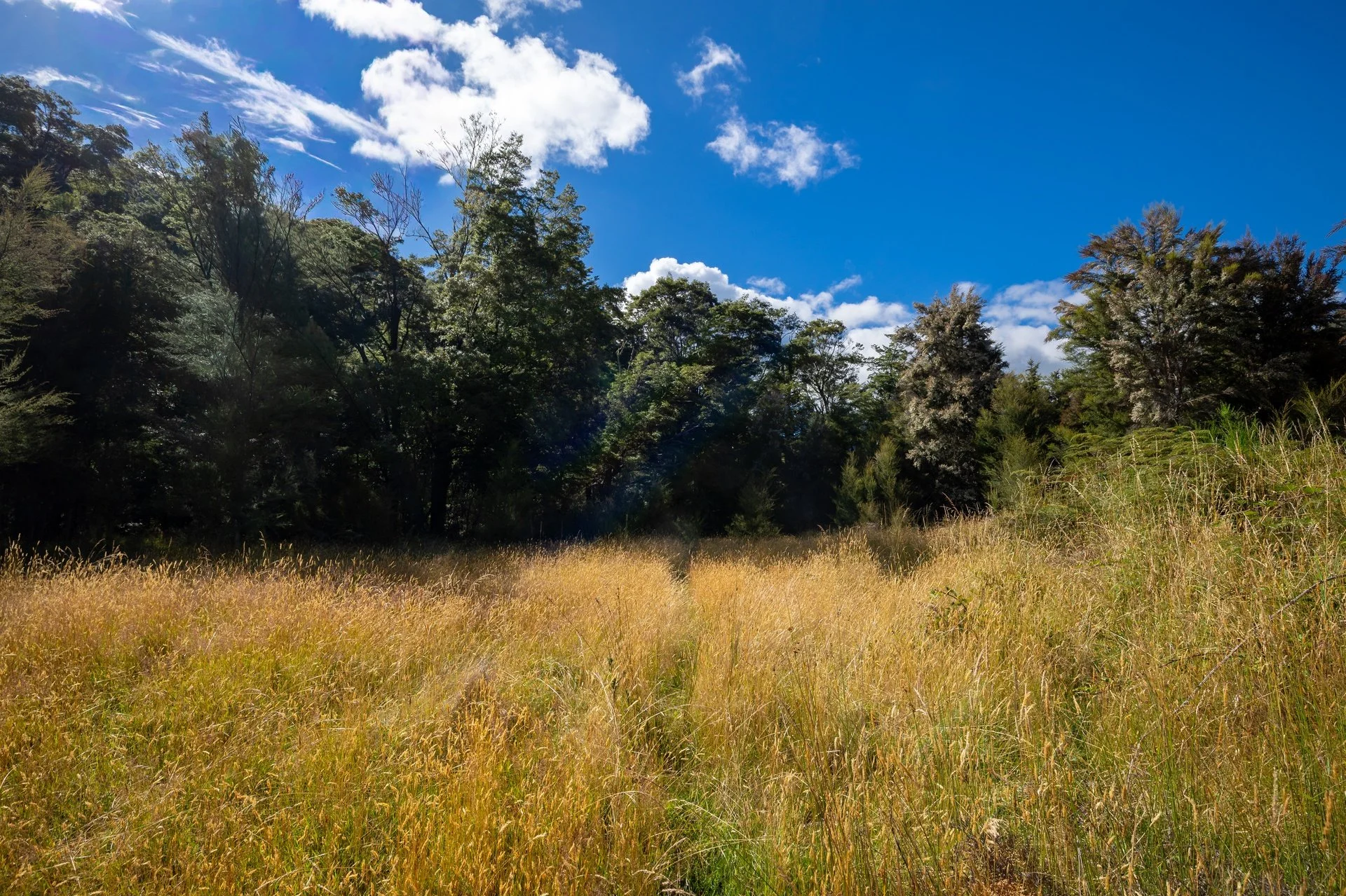 Gowan River (20 of 34)_1920px.jpg