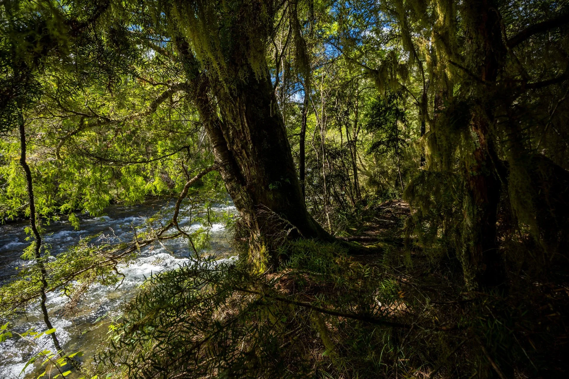 Gowan River (27 of 34)_1920px.jpg