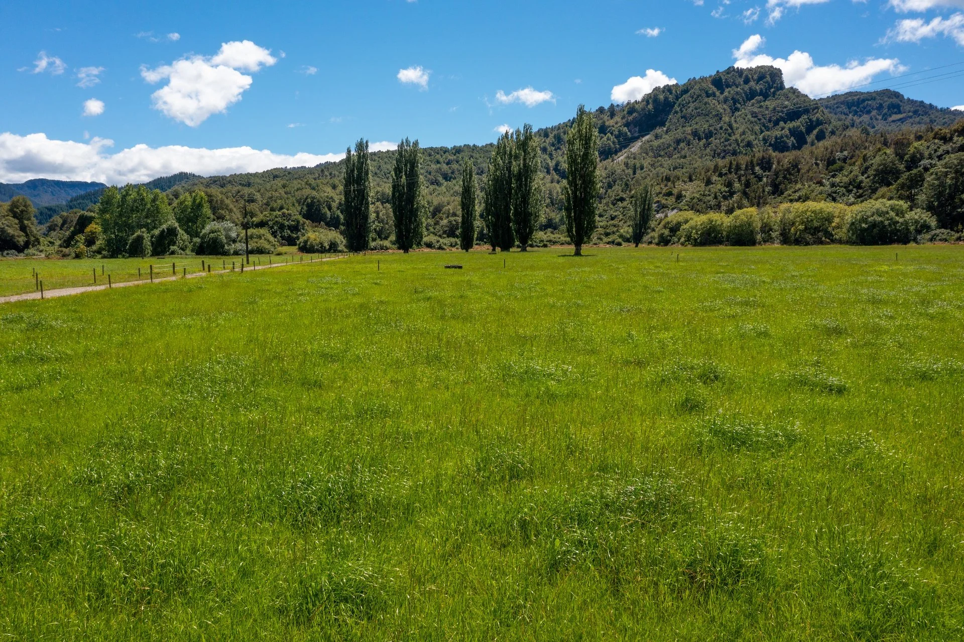 1153 (4 of 81)_1920px.jpg