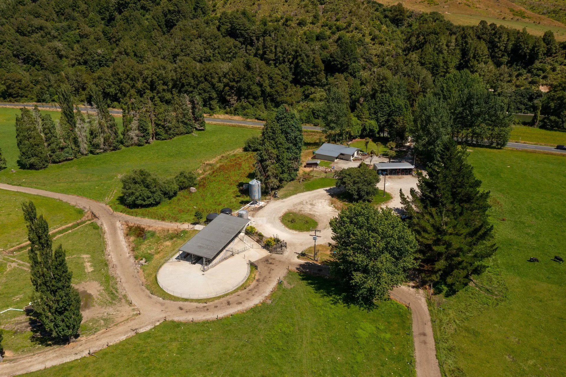 1153 (31 of 81)_1920px.jpg