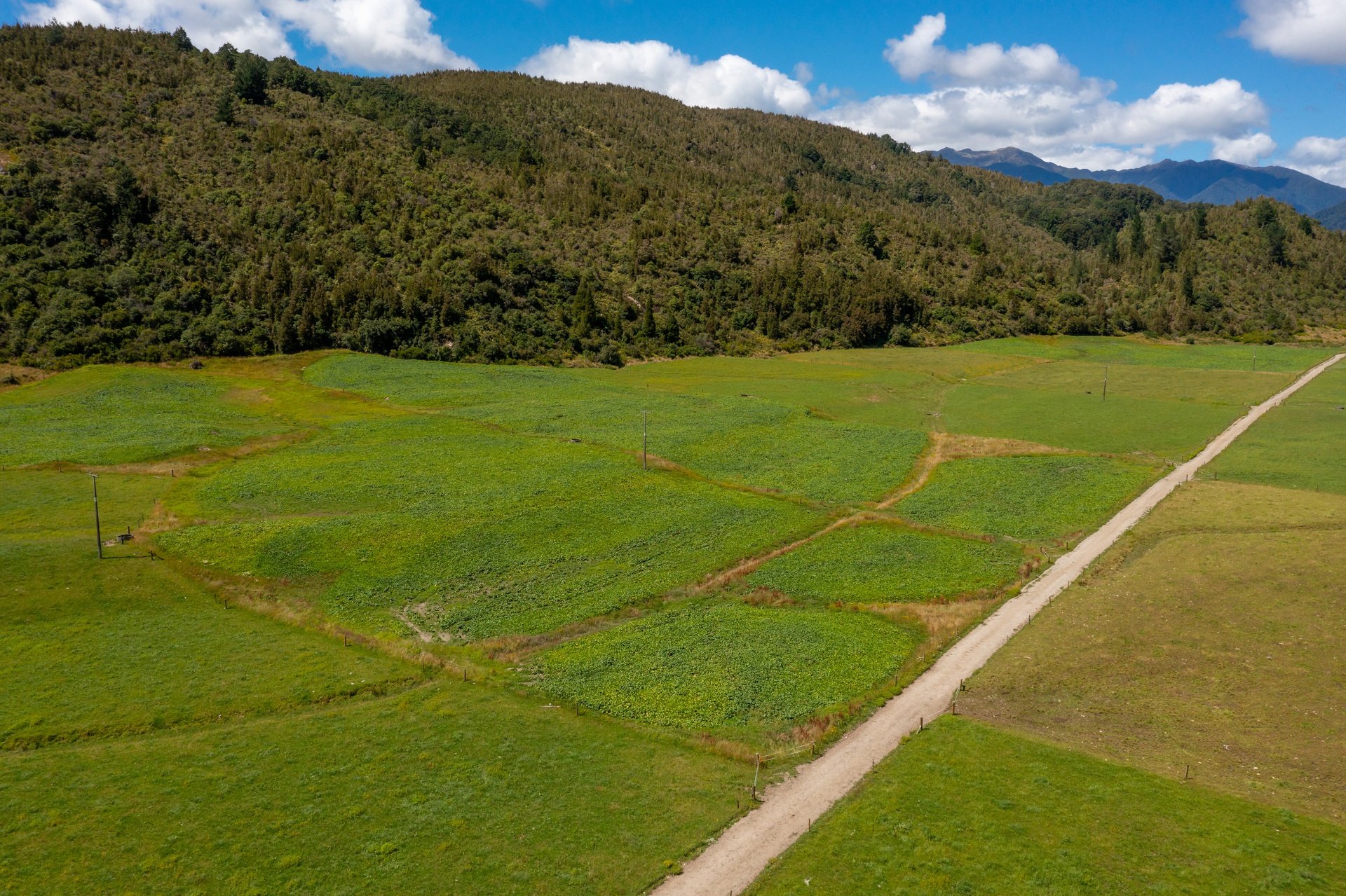 1153 (36 of 81)_1920px.jpg