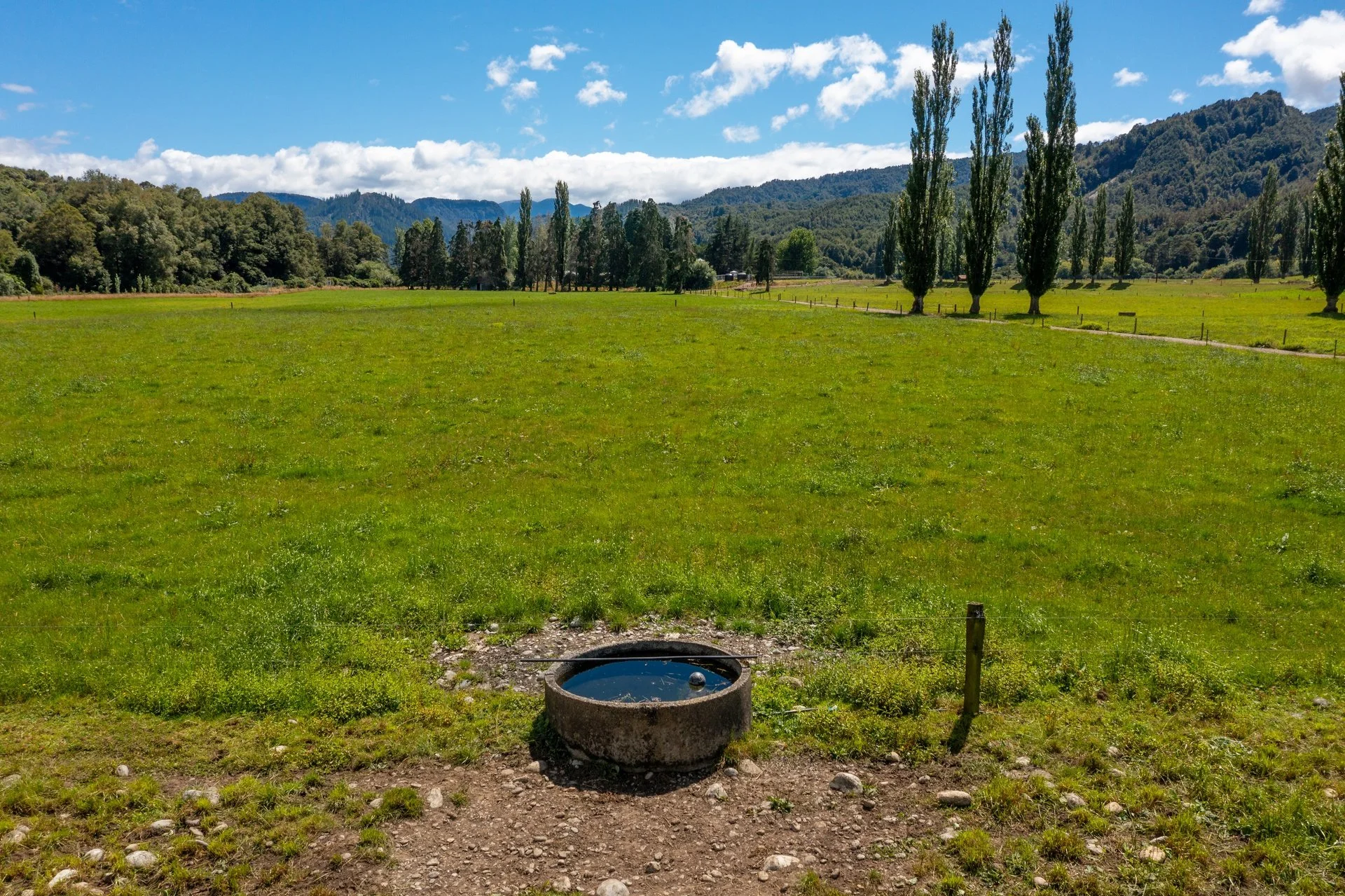 1153 (39 of 81)_1920px.jpg