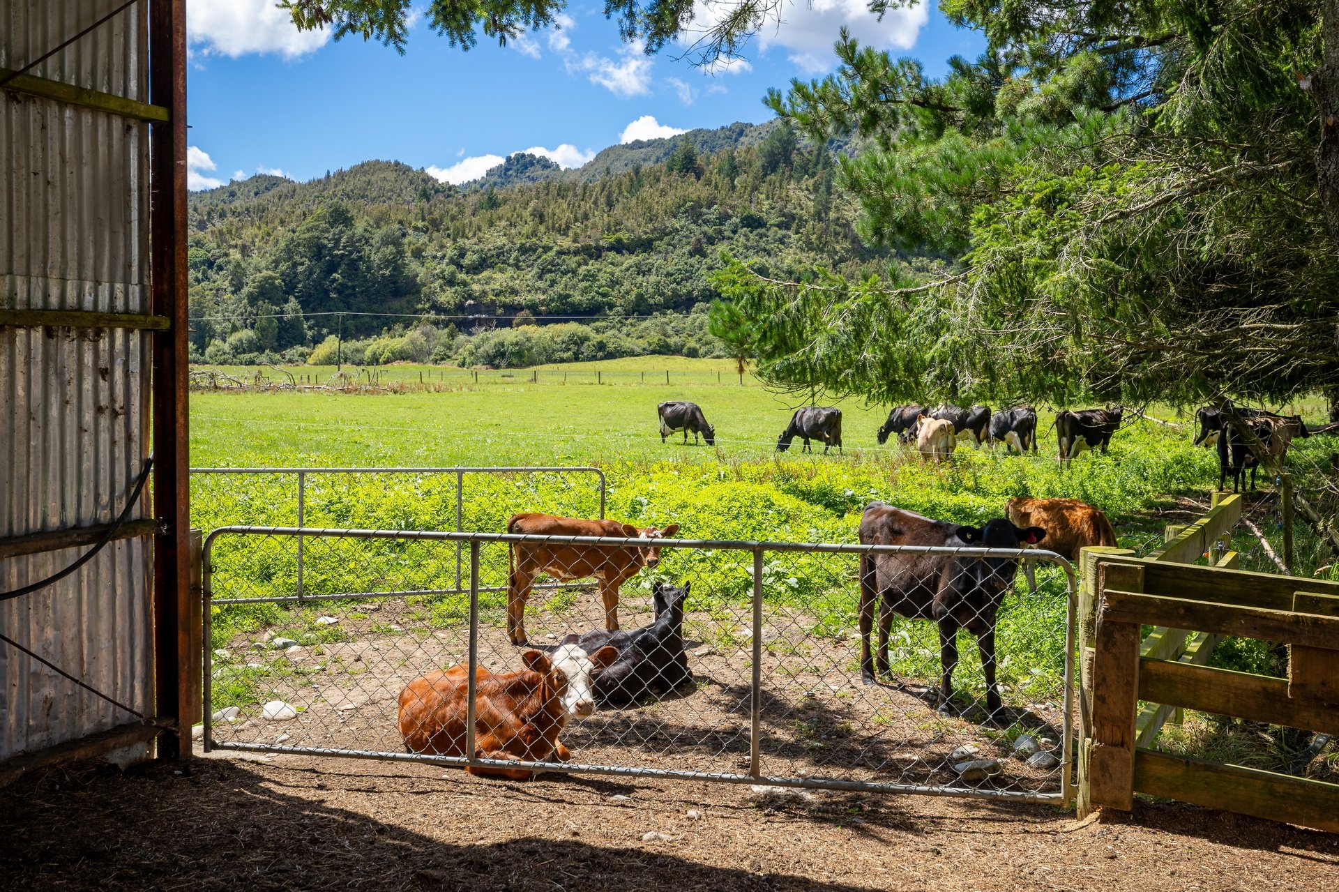 1153 (45 of 81)_1920px.jpg