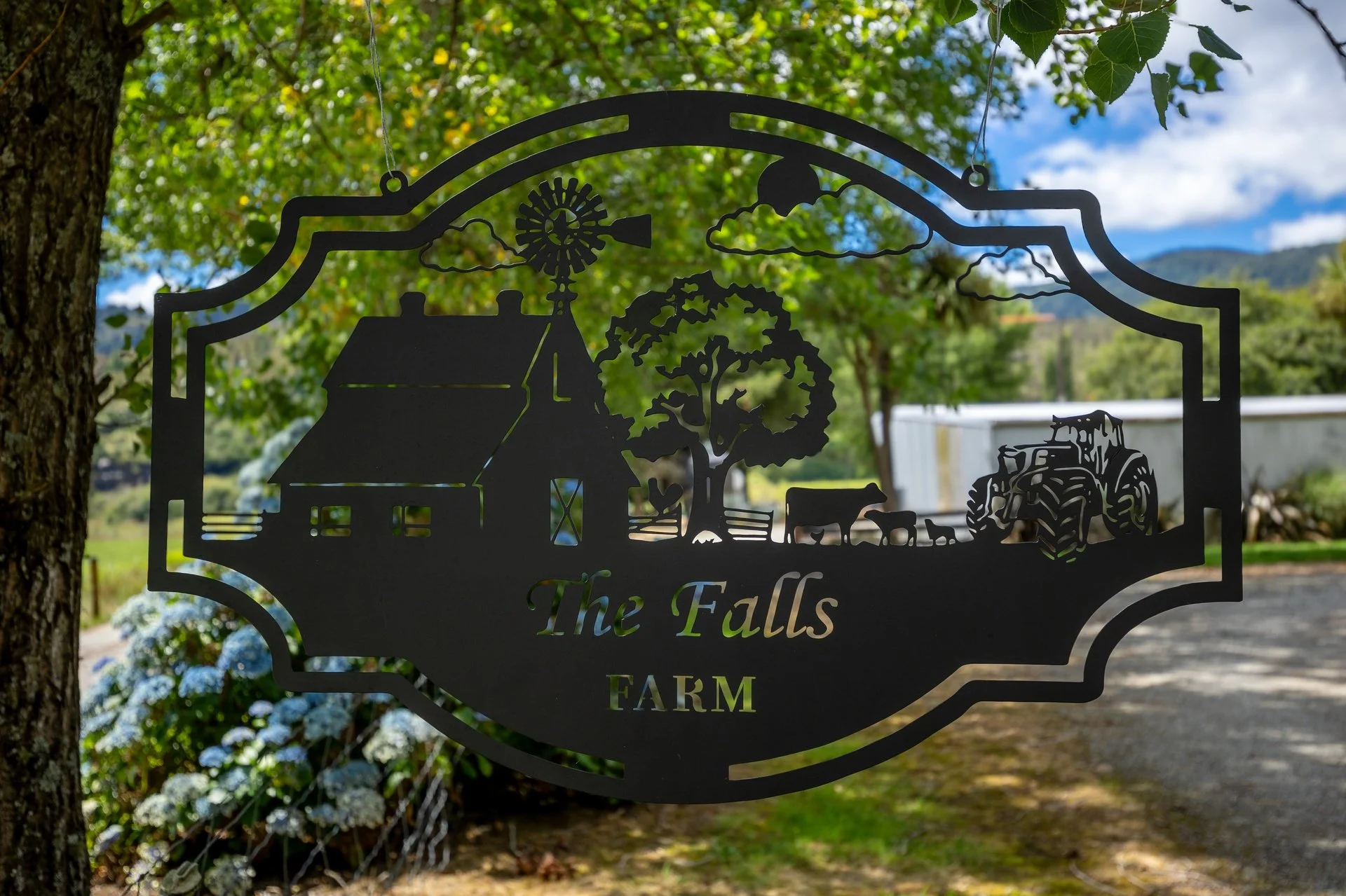 1153 (53 of 81)_1920px.jpg