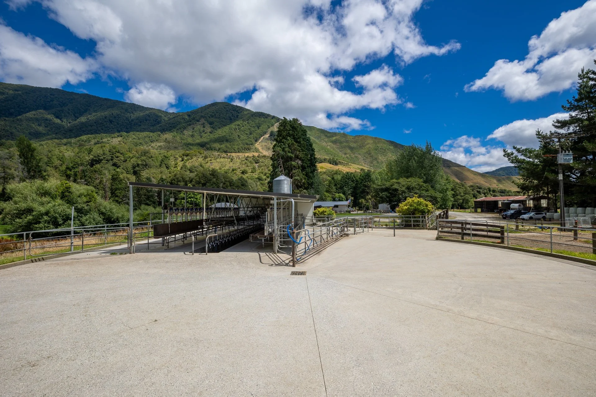 1153 (62 of 81)_1920px.jpg