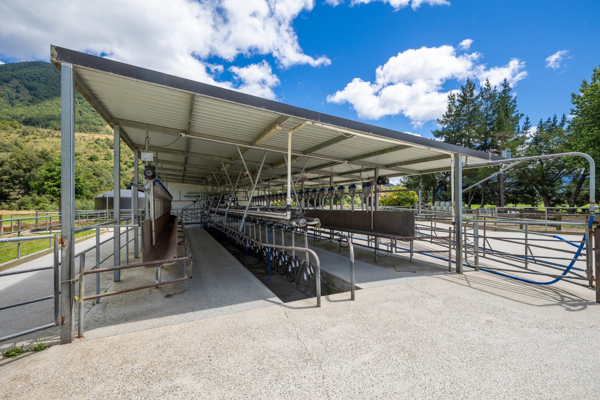 1153 (63 of 81)_1920px.jpg