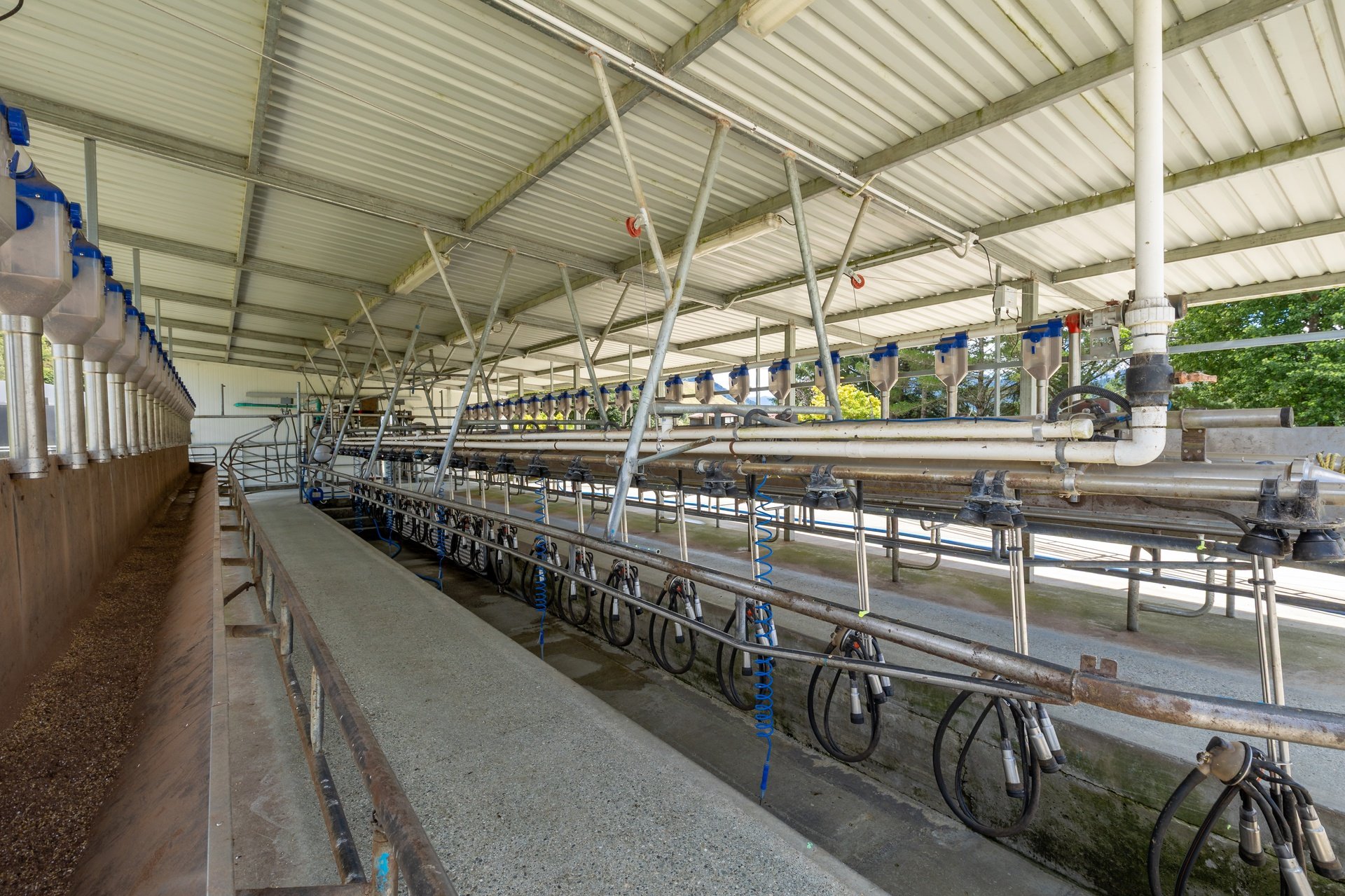 1153 (64 of 81)_1920px.jpg