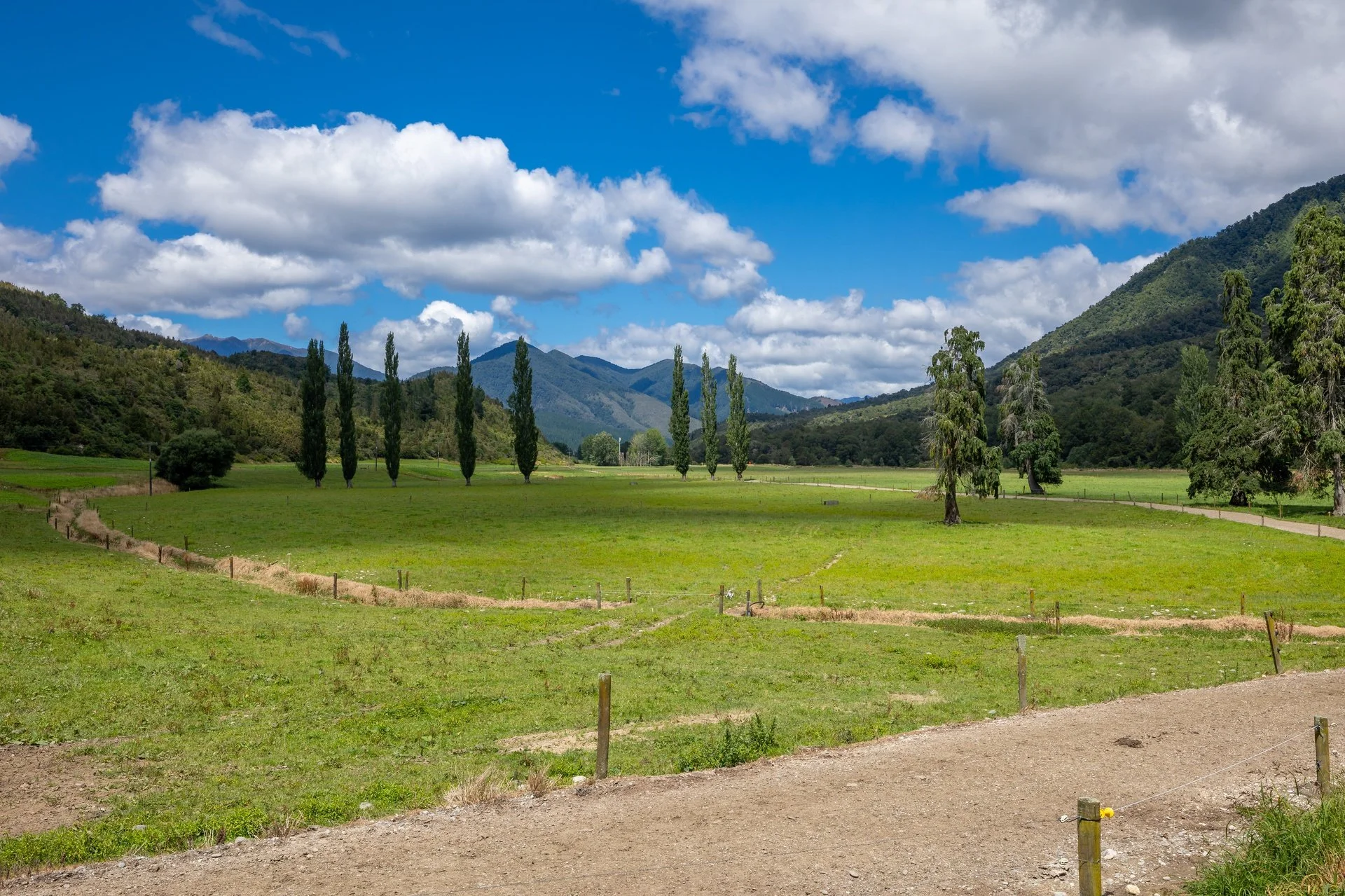 1153 (66 of 81)_1920px.jpg