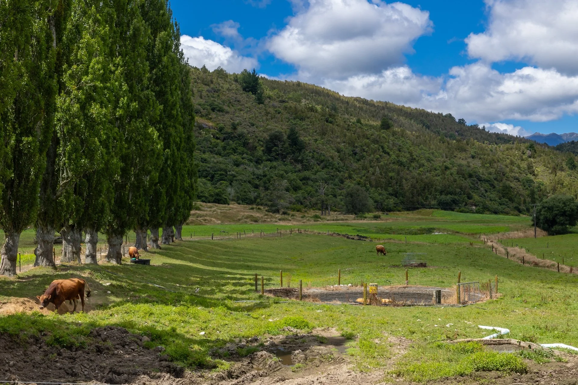 1153 (68 of 81)_1920px.jpg