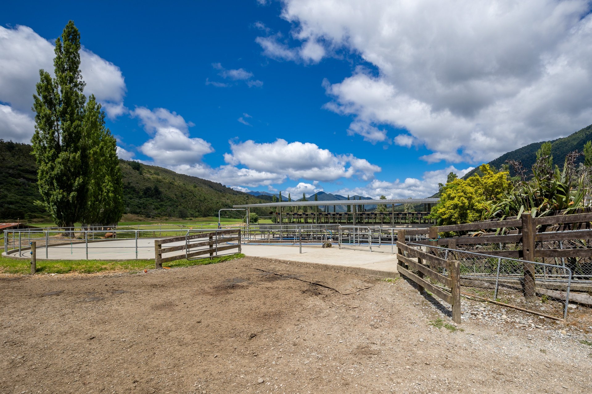 1153 (69 of 81)_1920px.jpg