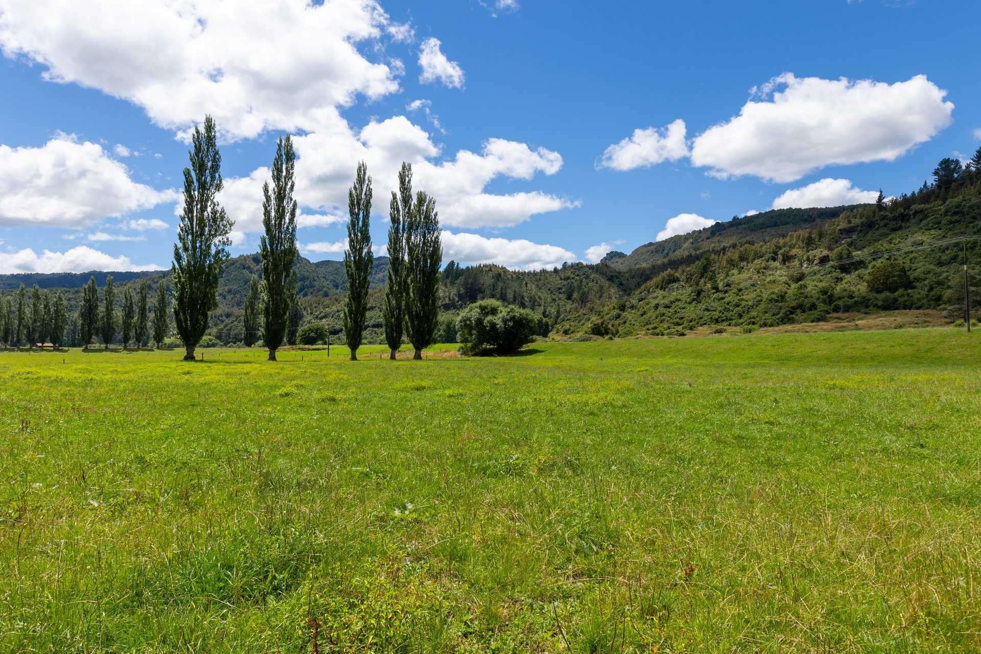 1153 (77 of 81)_1920px.jpg