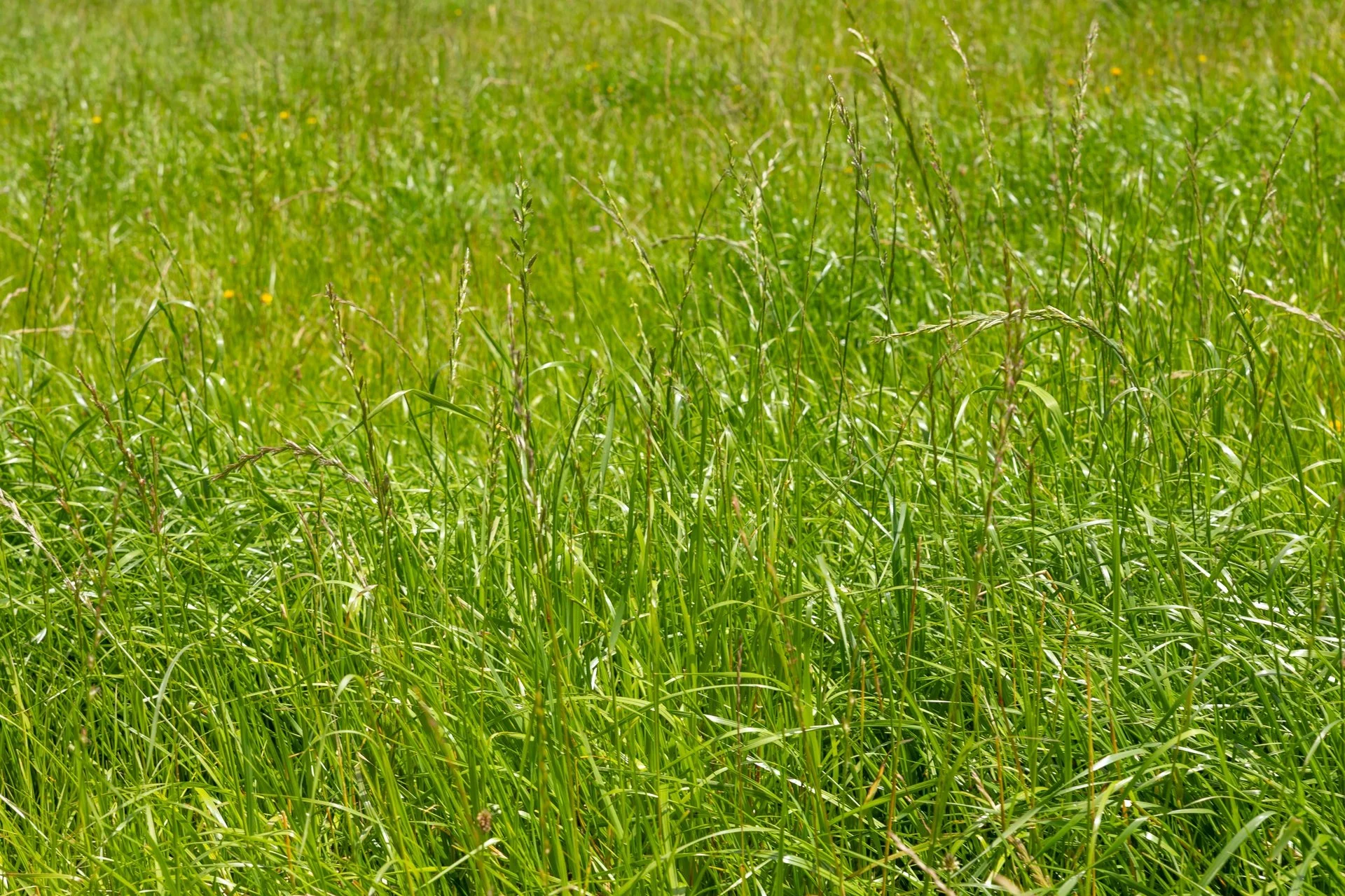 1153 (78 of 81)_1920px.jpg