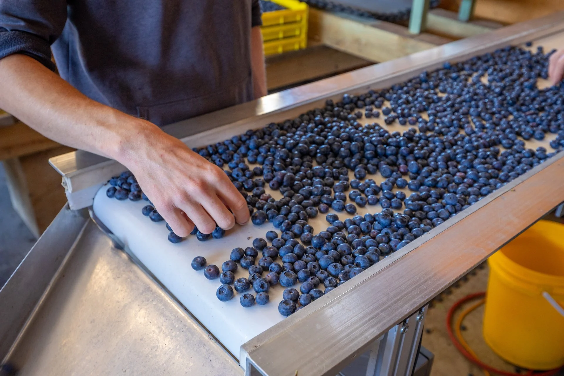 160 Tadmor Valley Road (29 of 161)_1920px.jpg