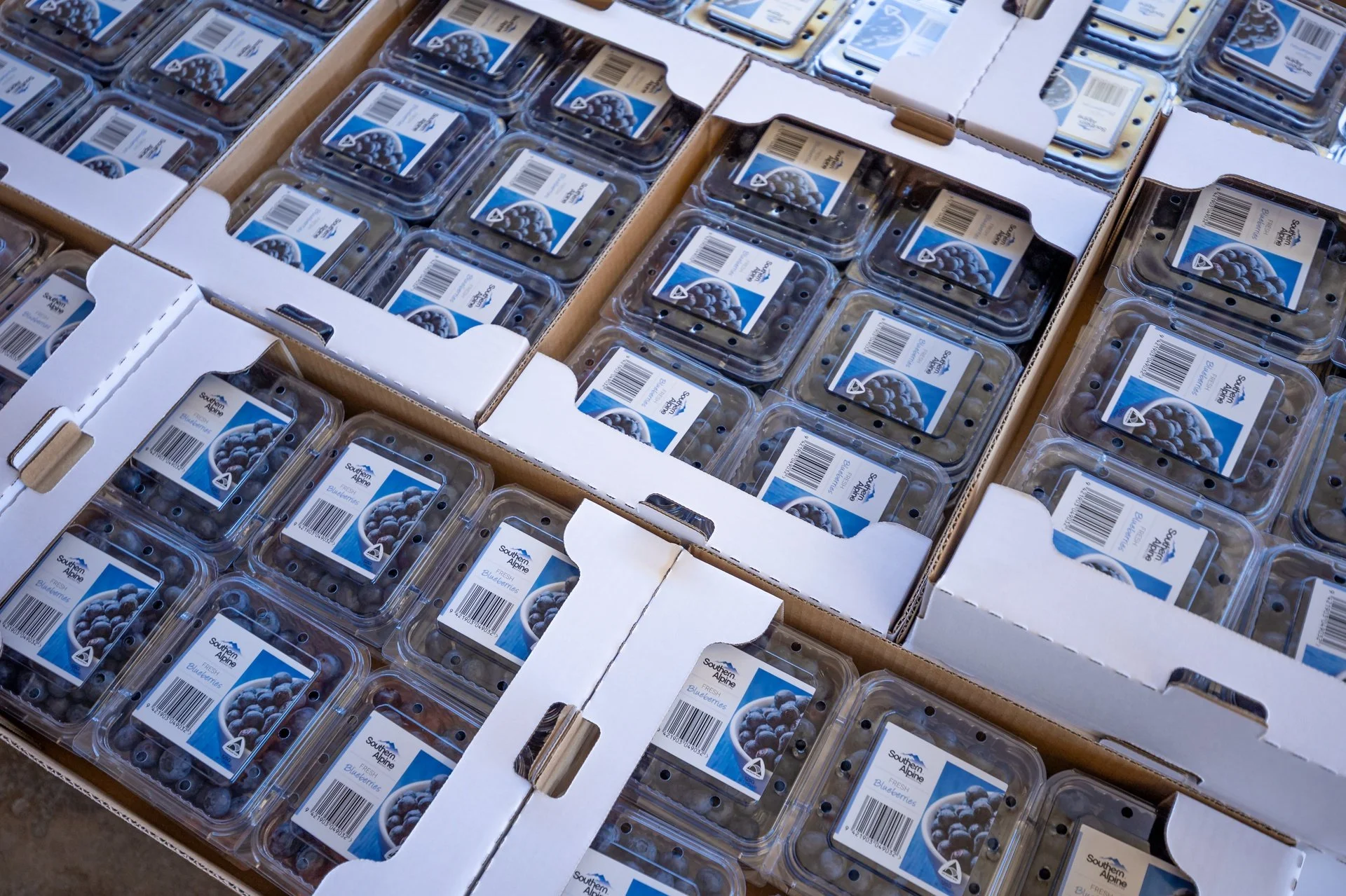 160 Tadmor Valley Road (26 of 161)_1920px.jpg