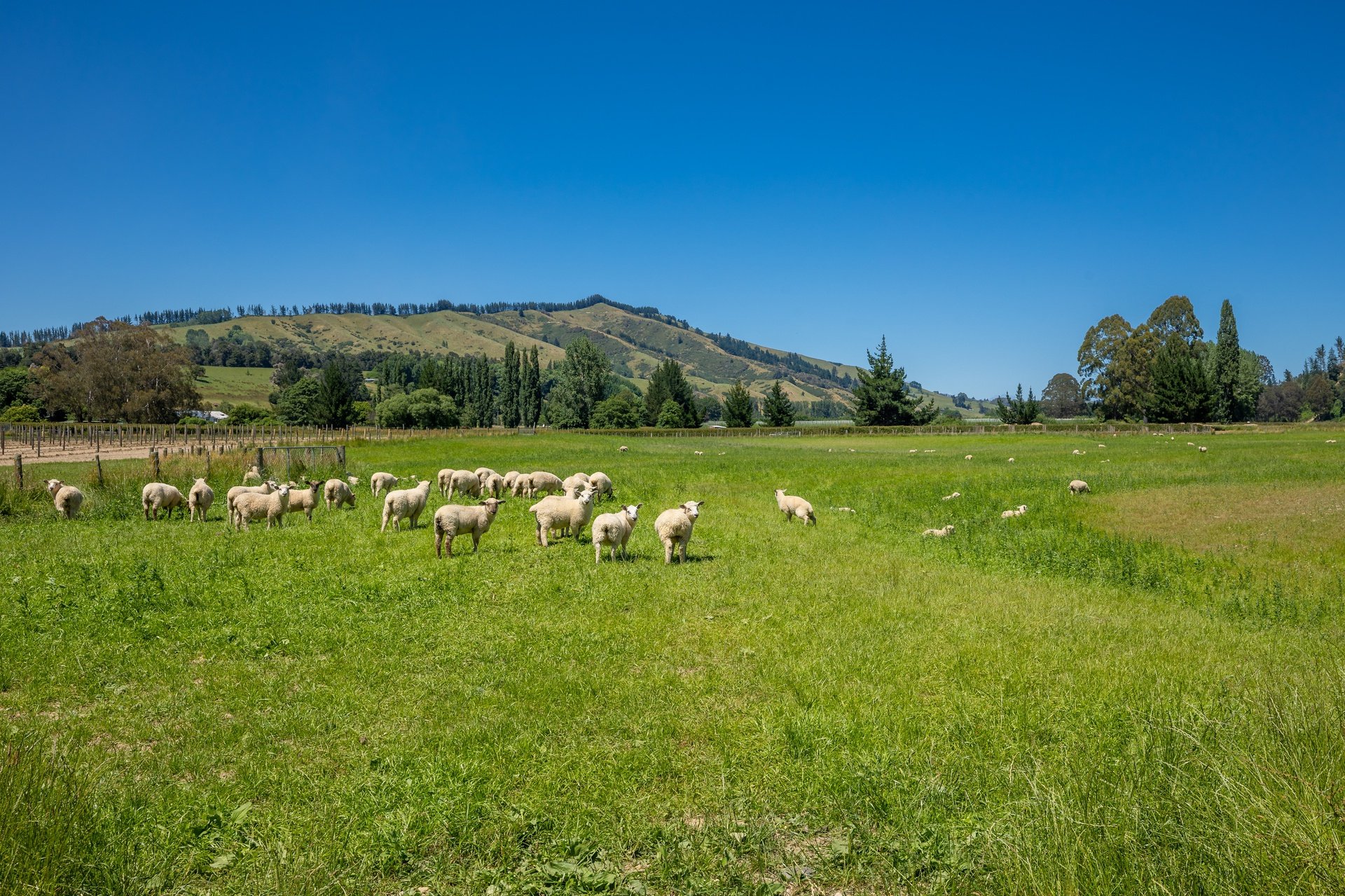 160 Tadmor Valley Road (39 of 161)_1920px.jpg