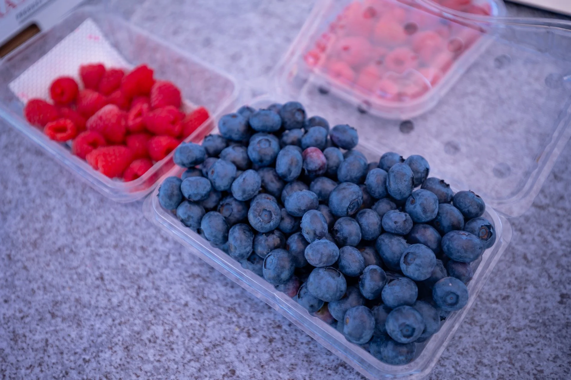 160 Tadmor Valley Road (50 of 161)_1920px.jpg