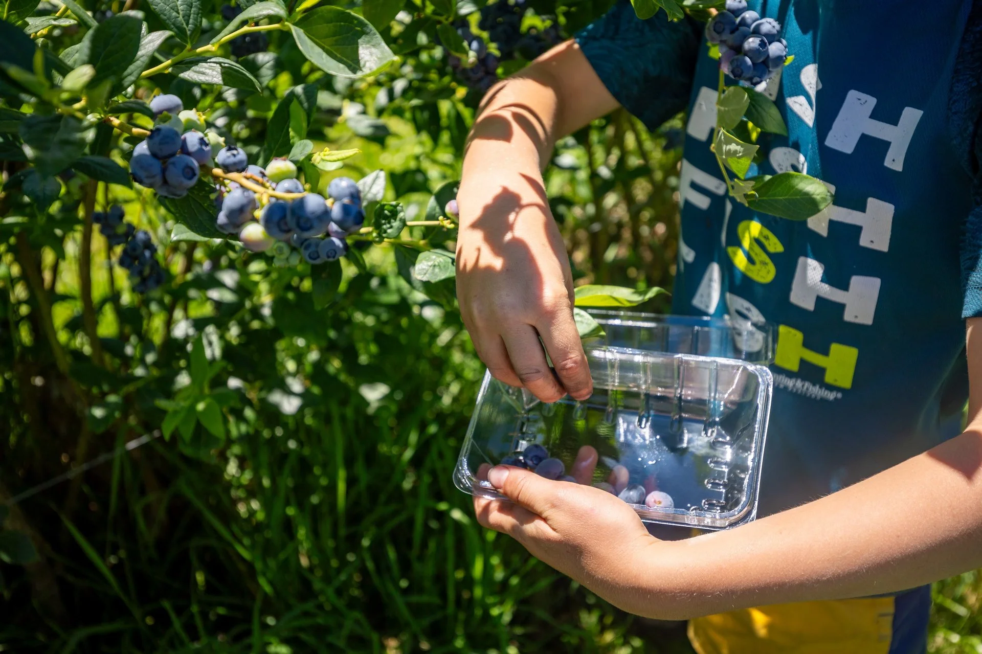 160 Tadmor Valley Road (51 of 161)_1920px.jpg