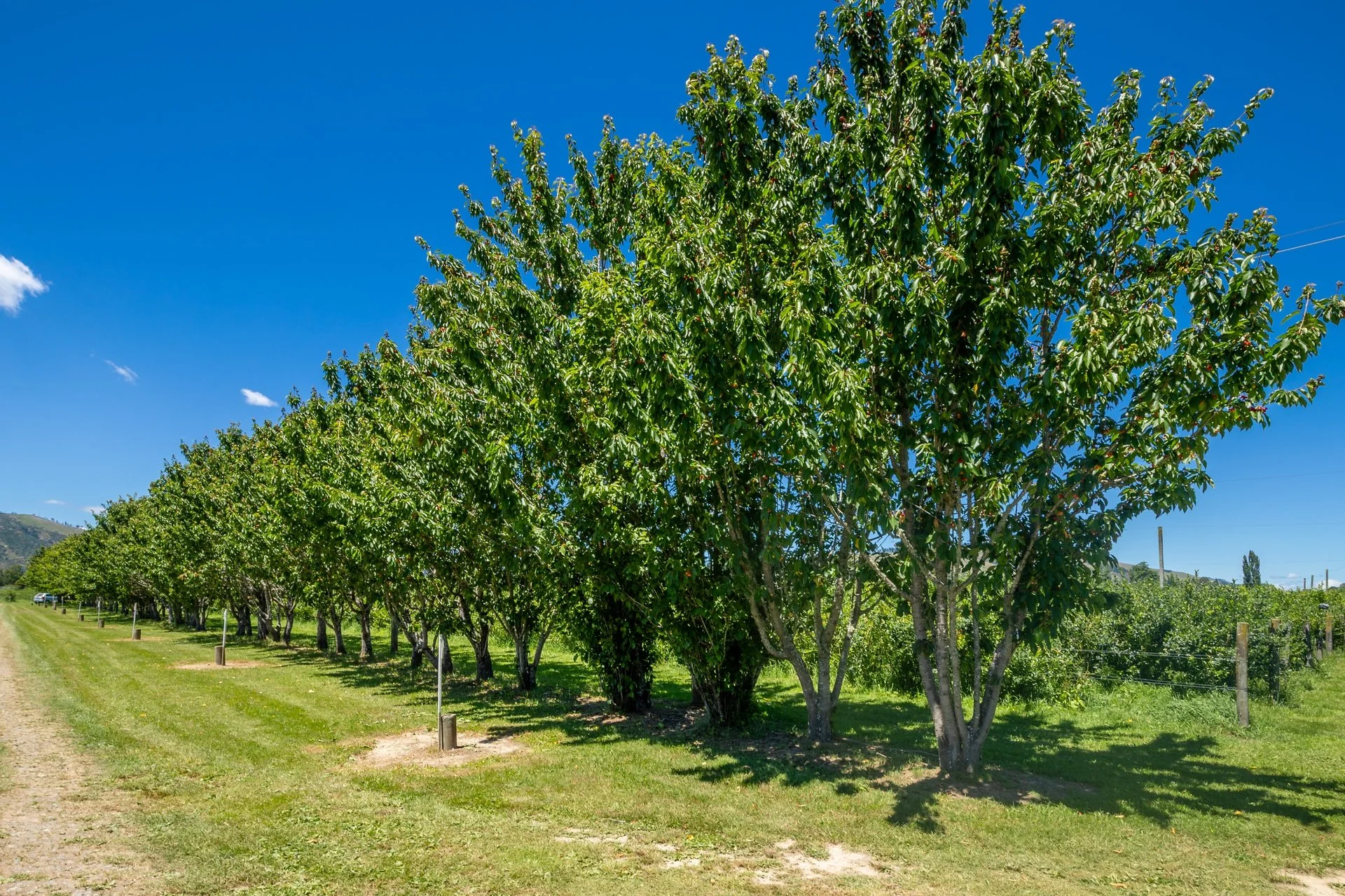 160 Tadmor Valley Road (54 of 161)_1920px.jpg