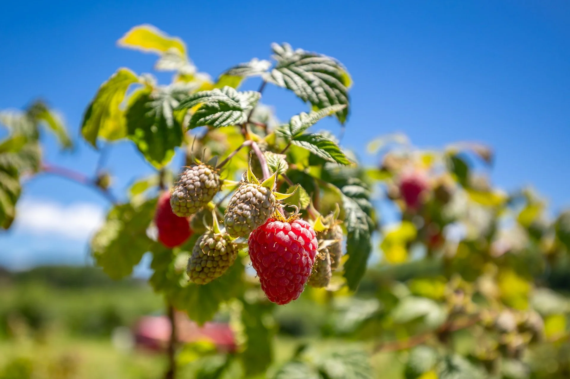 160 Tadmor Valley Road (56 of 161)_1920px.jpg