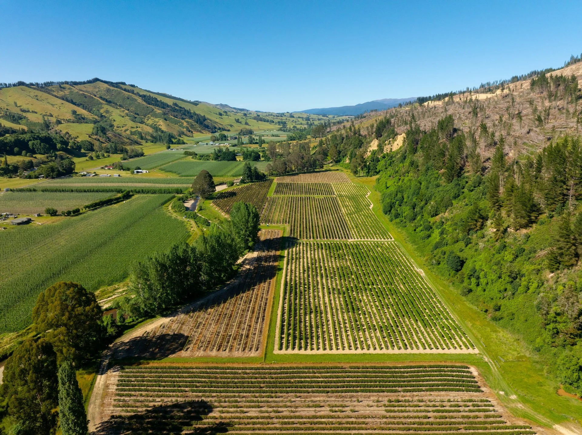 160 Tadmor Valley Road (57 of 161)_1920px.jpg