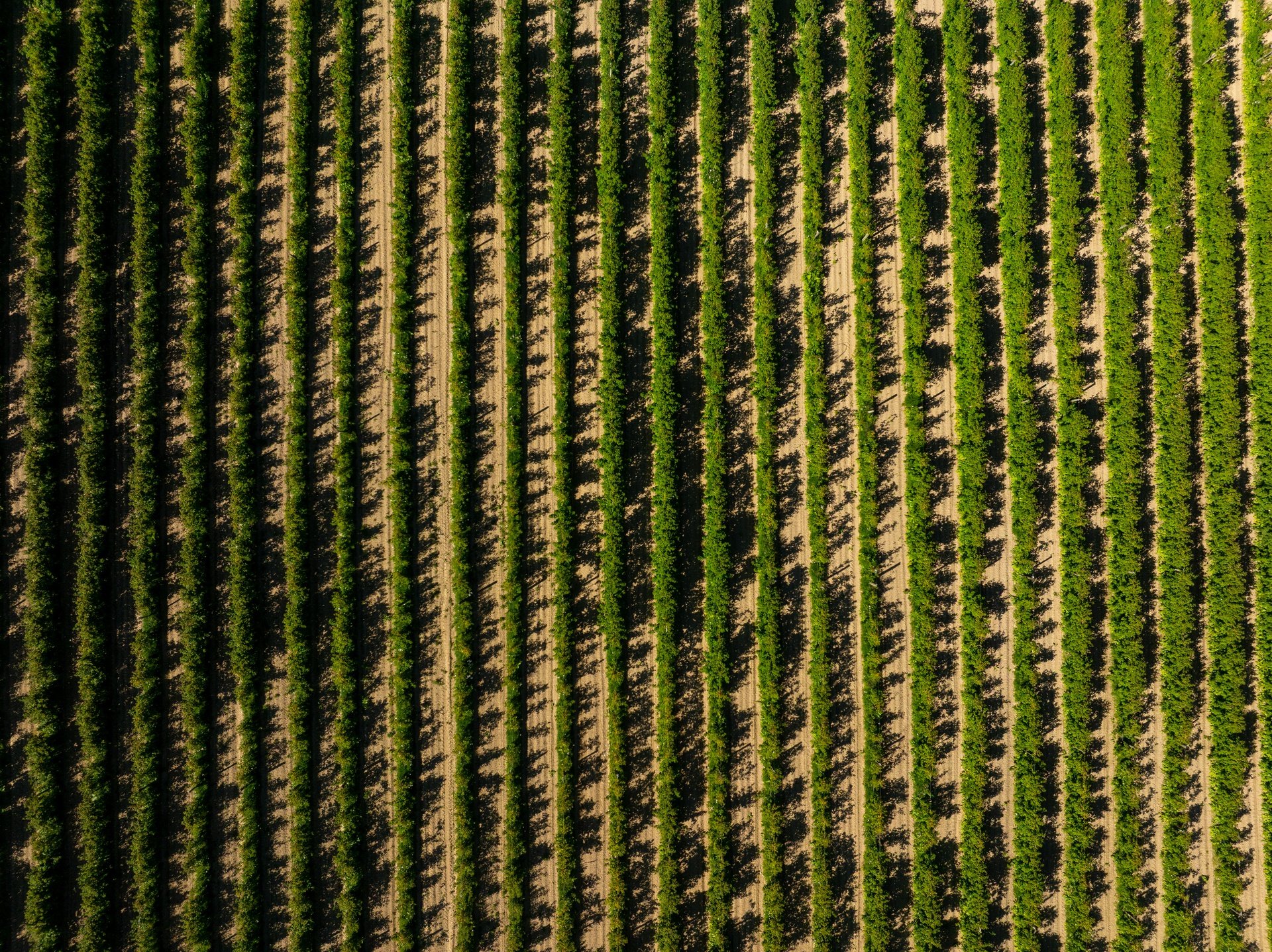 160 Tadmor Valley Road (59 of 161)_1920px.jpg