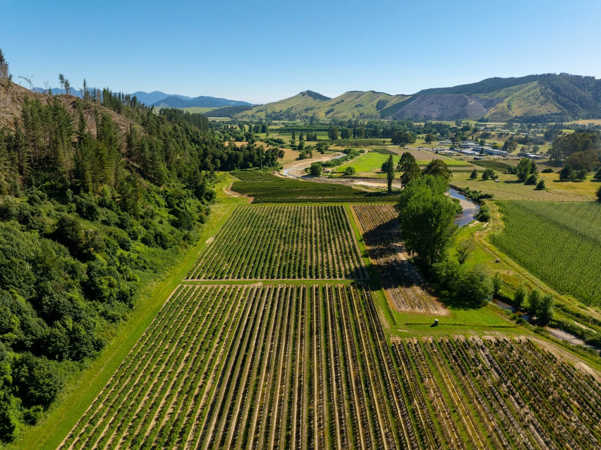 160 Tadmor Valley Road (60 of 161)_1920px.jpg