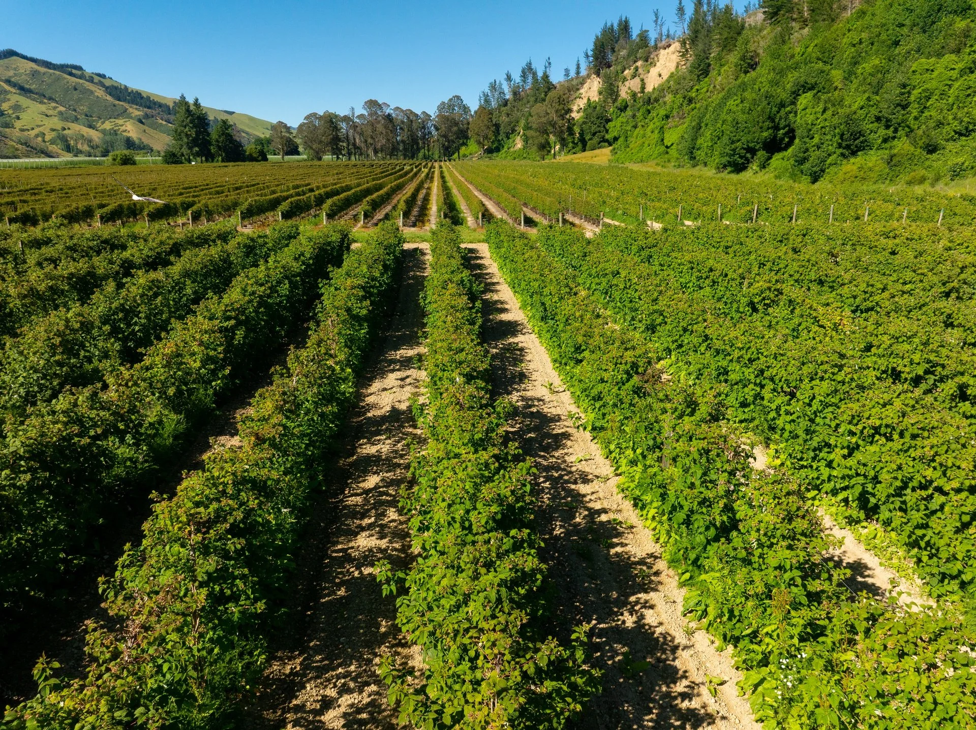 160 Tadmor Valley Road (63 of 161)_1920px.jpg