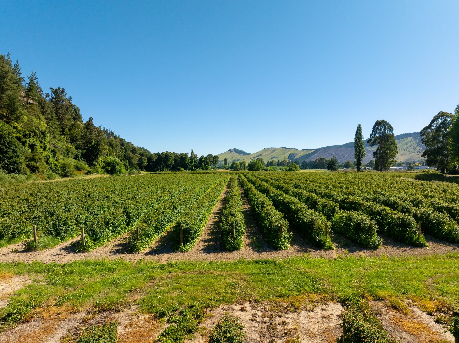 160 Tadmor Valley Road (64 of 161)_1920px.jpg