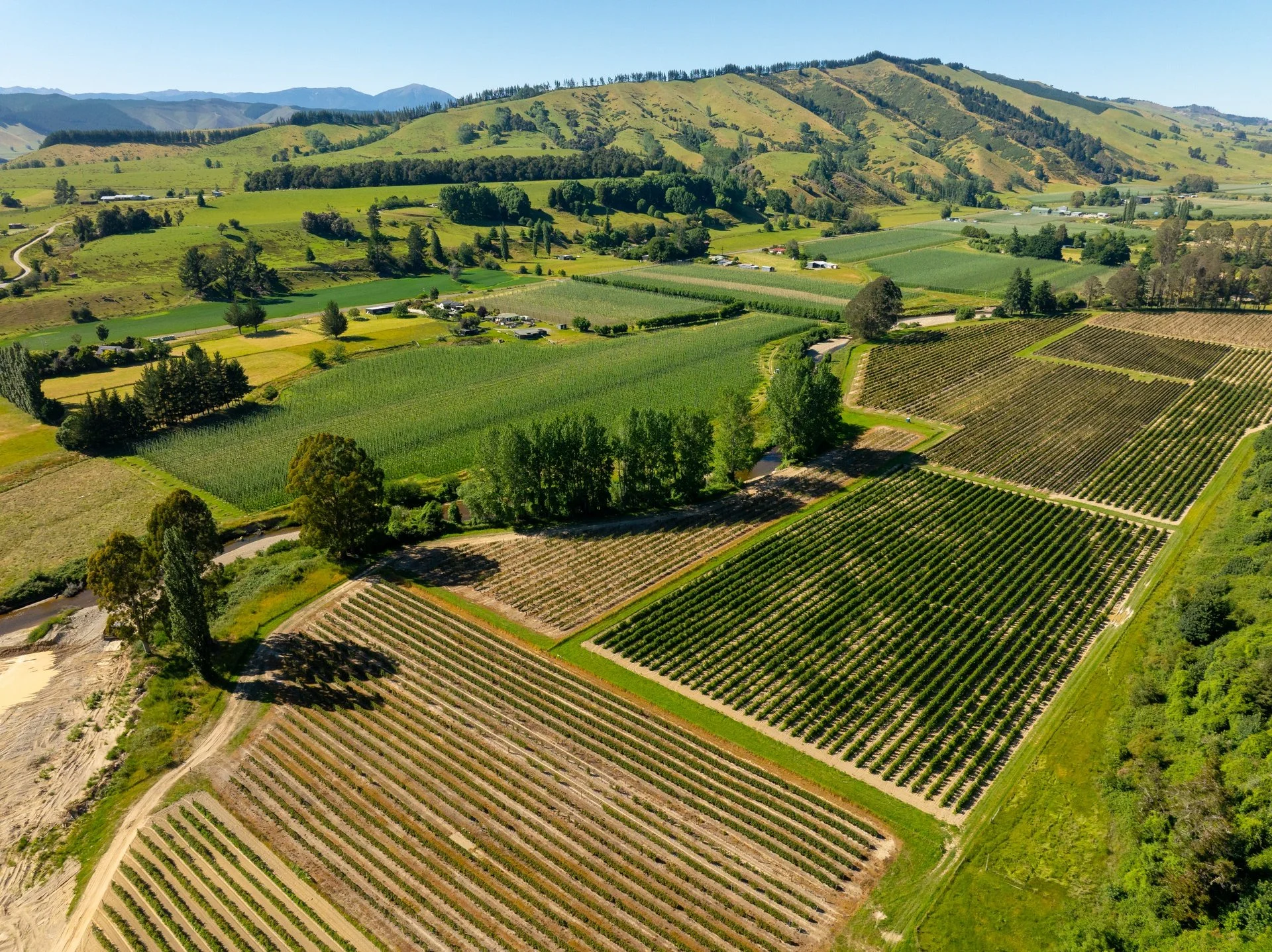 160 Tadmor Valley Road (67 of 161)_1920px.jpg