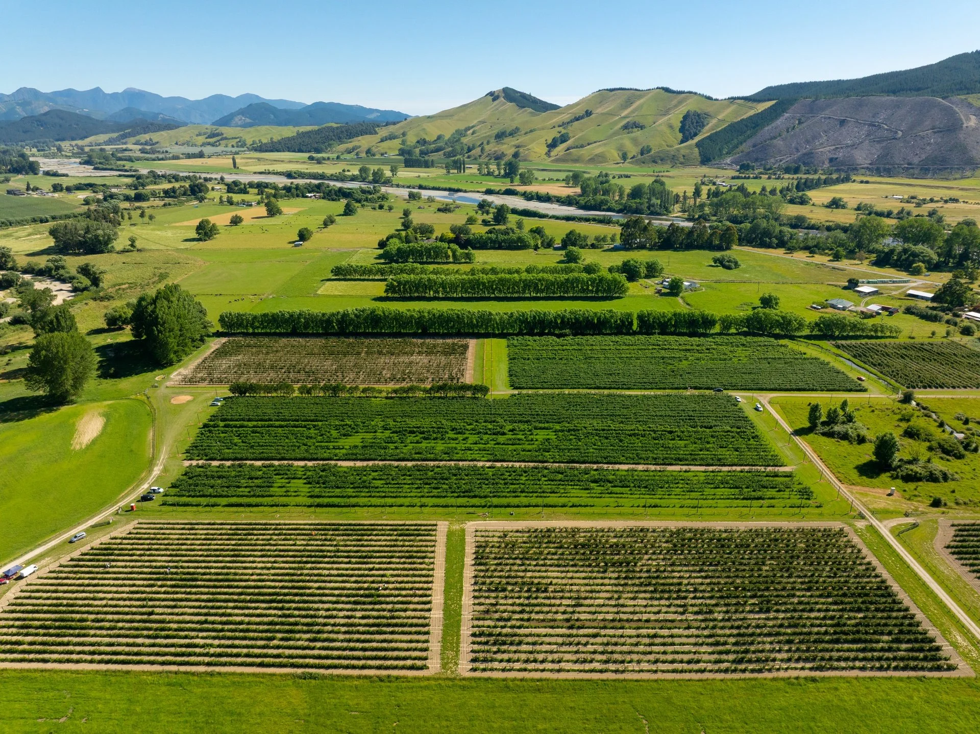 160 Tadmor Valley Road (69 of 161)_1920px.jpg